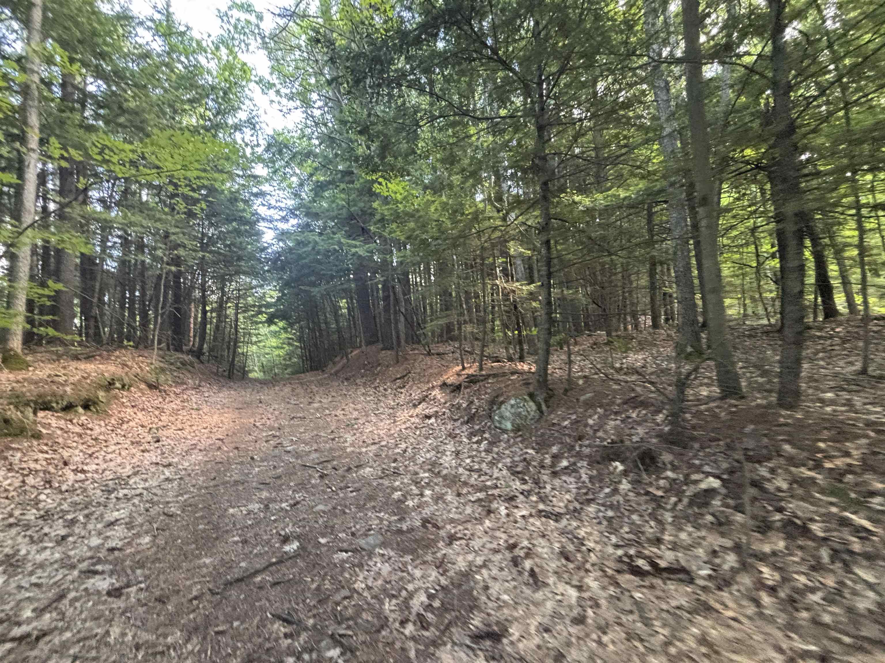 00 Windfall Road Property Photo 3