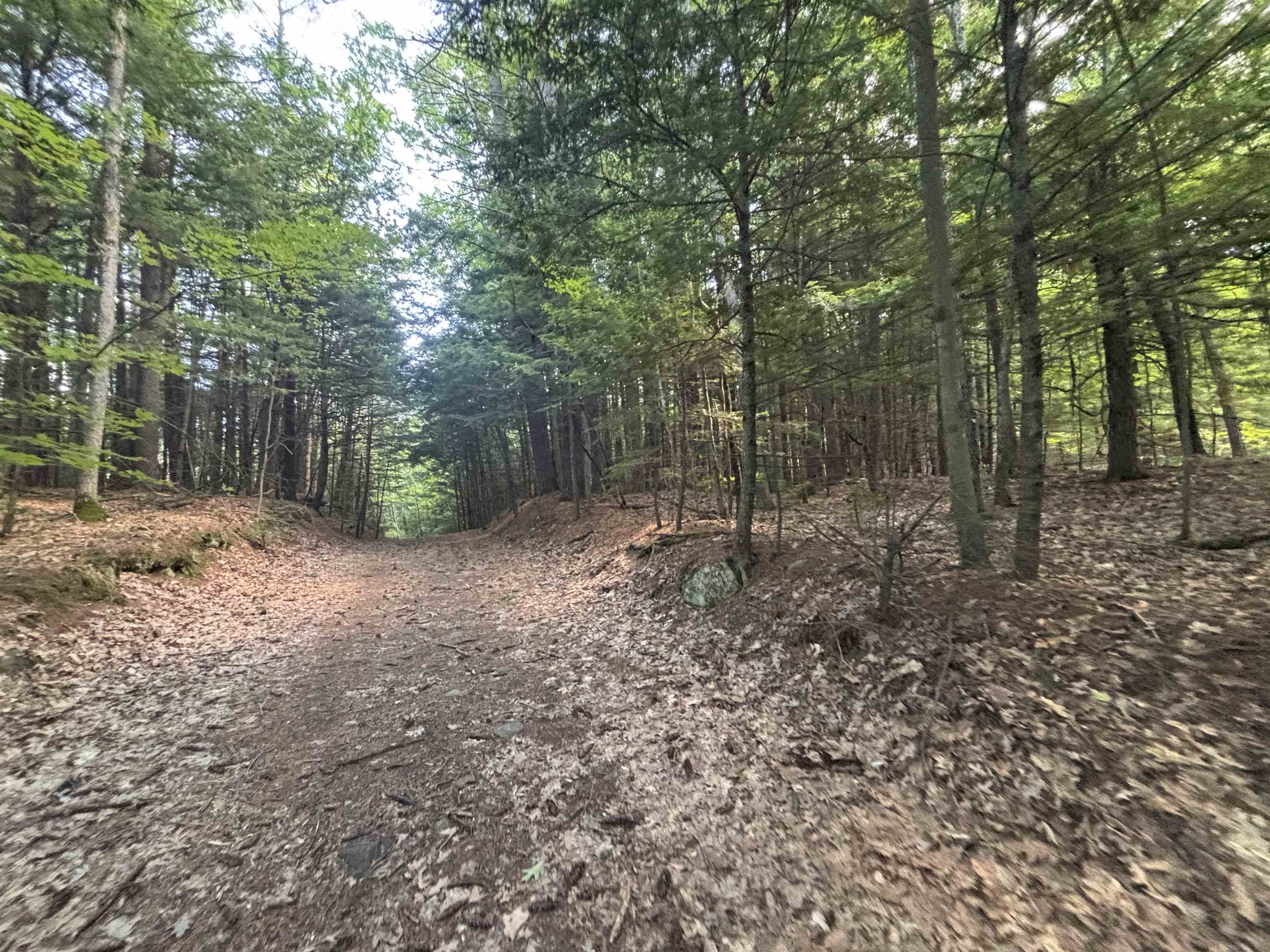 00 Windfall Road Property Photo 4