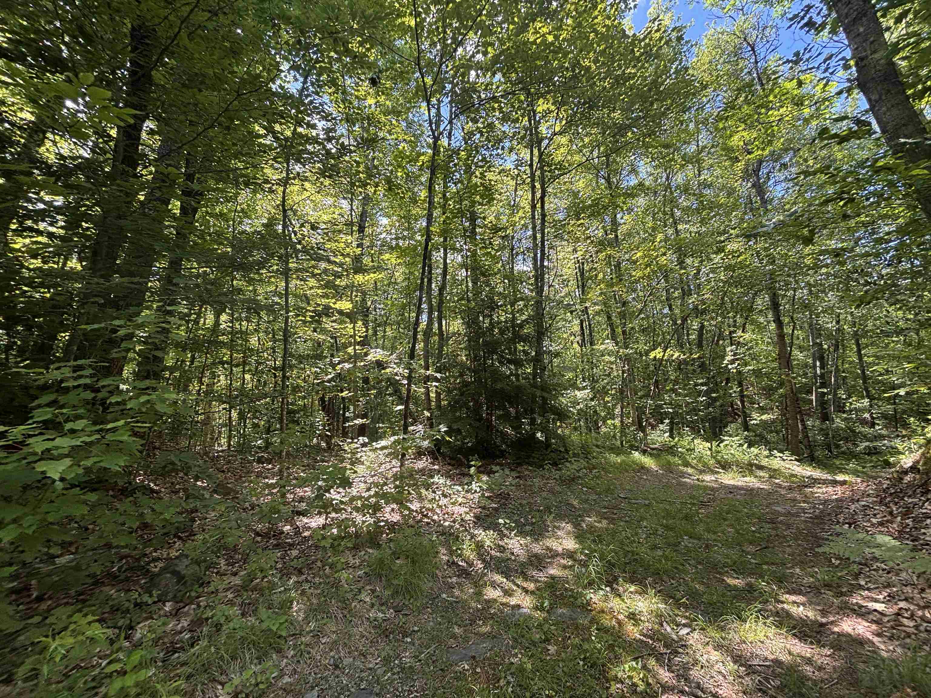 00 Windfall Road Property Photo 6