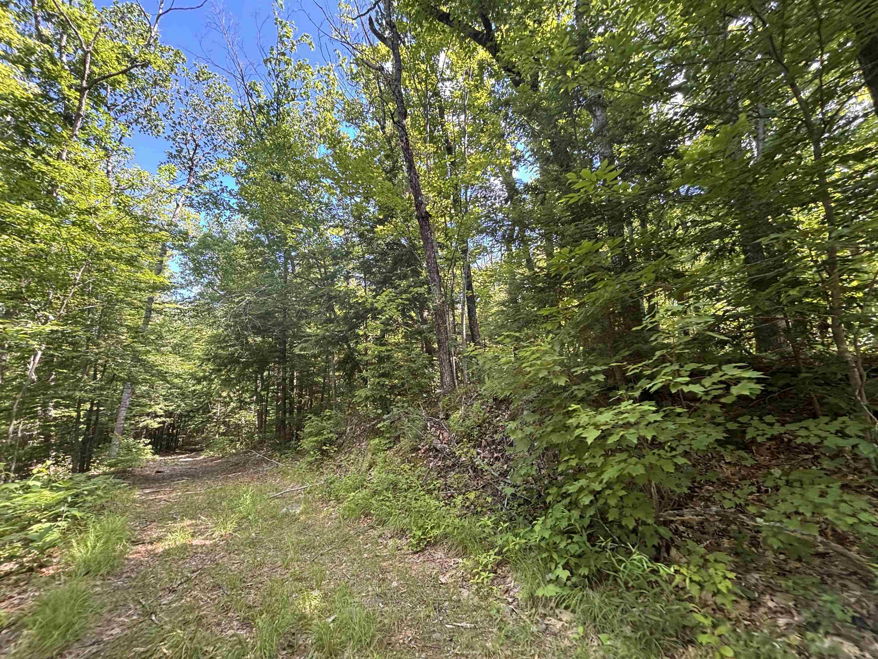 00 Windfall Road Property Photo 7