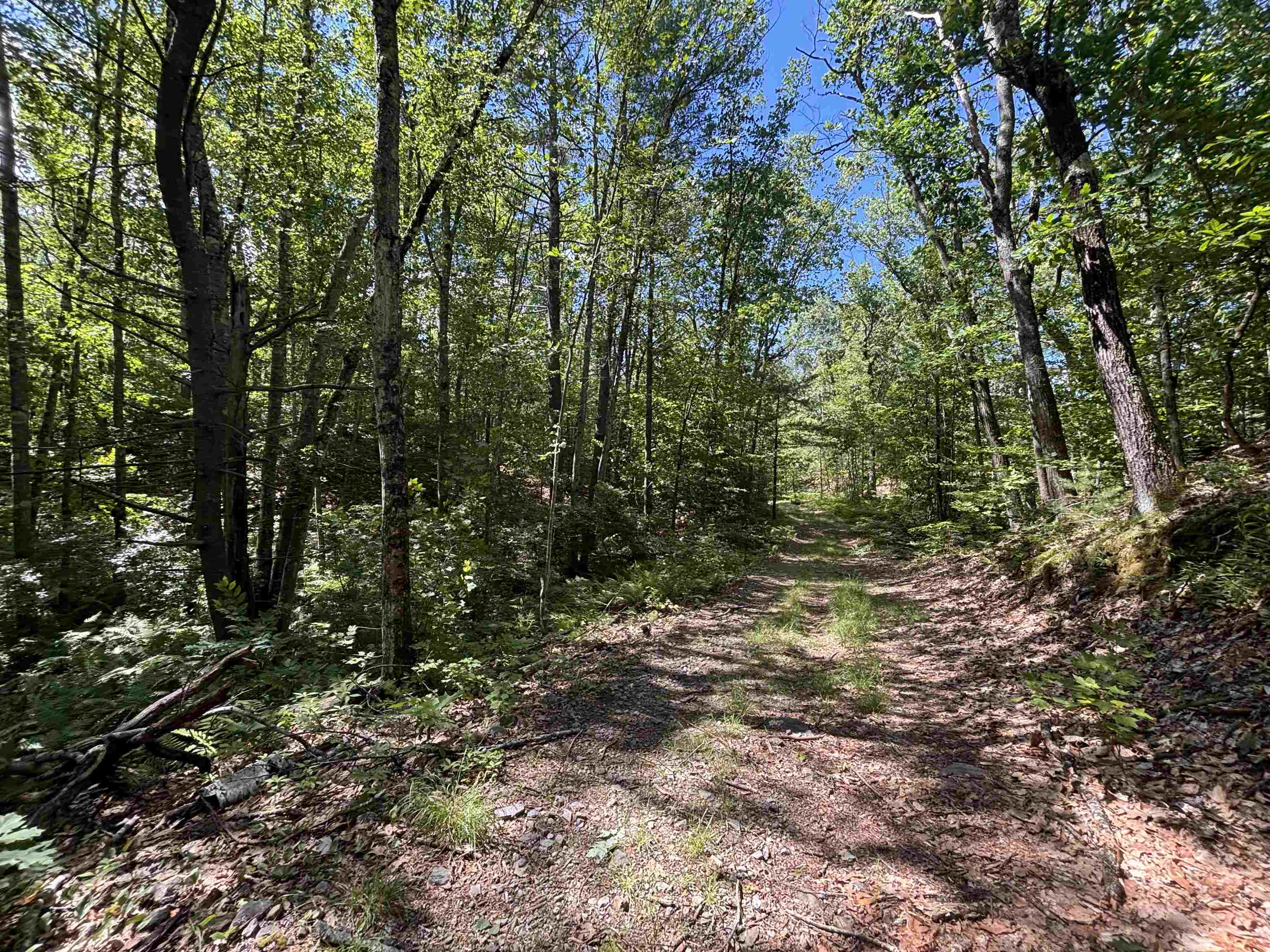00 Windfall Road Property Photo 8