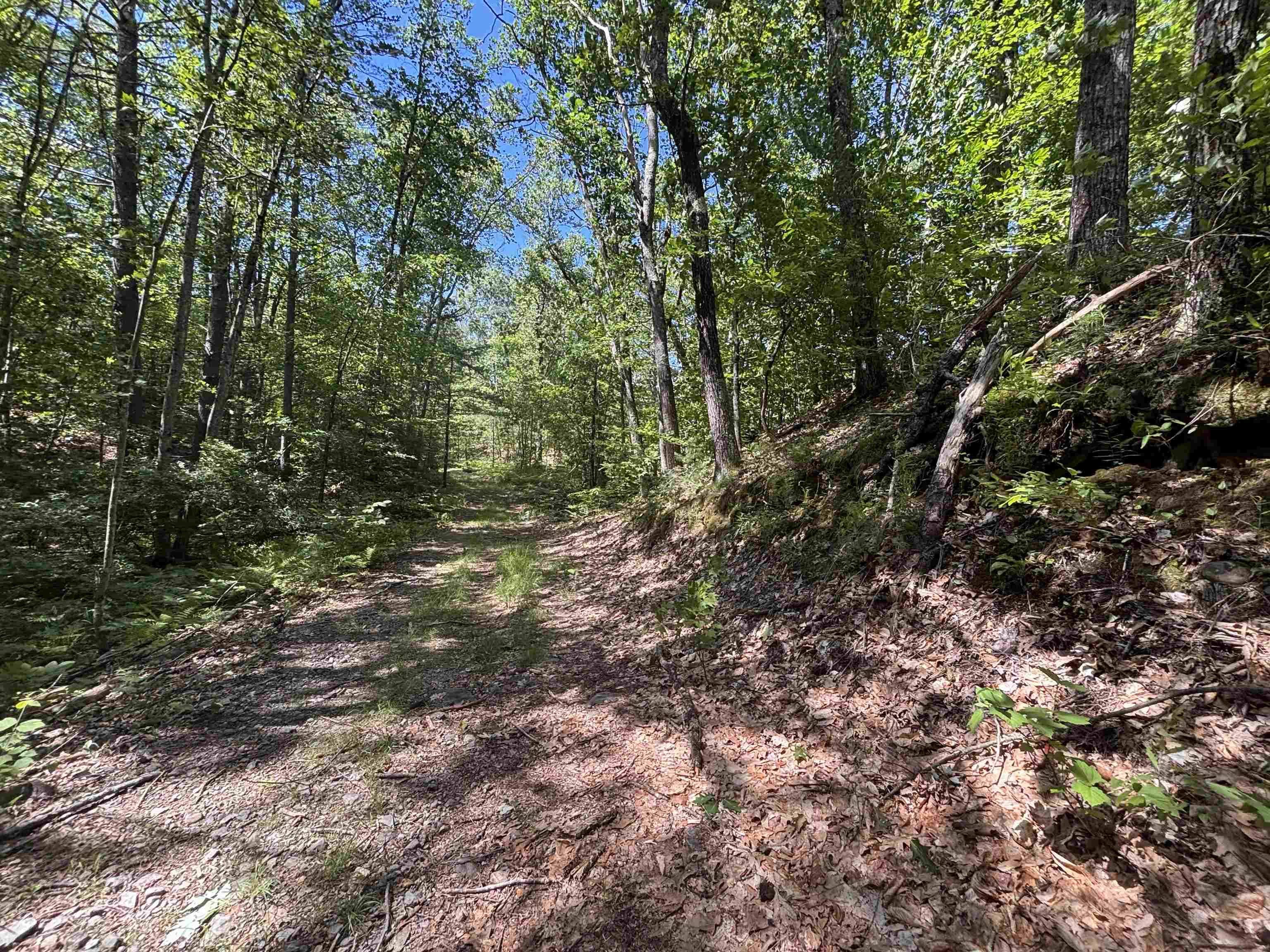 00 Windfall Road Property Photo 9
