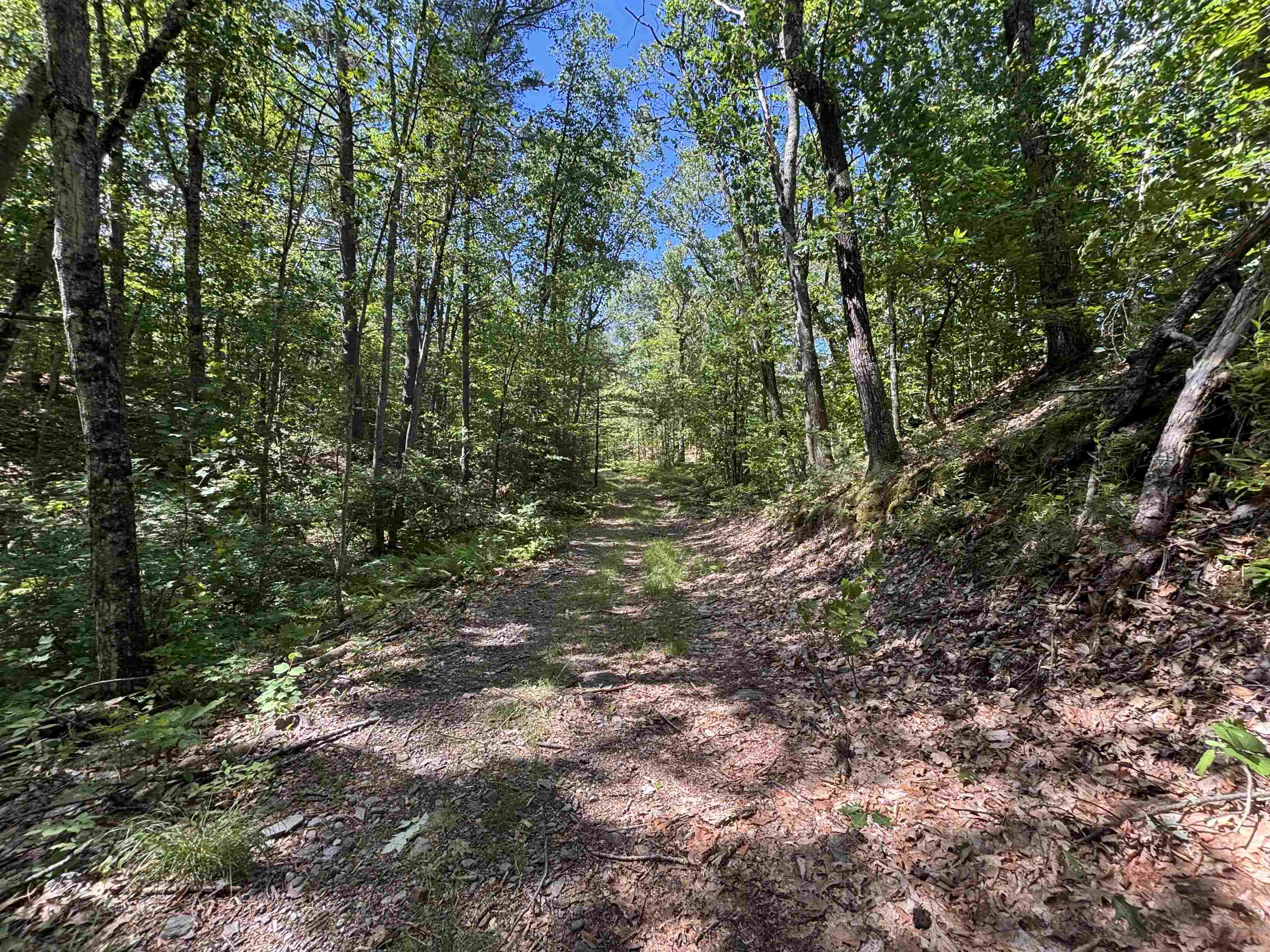 00 Windfall Road Property Photo 10
