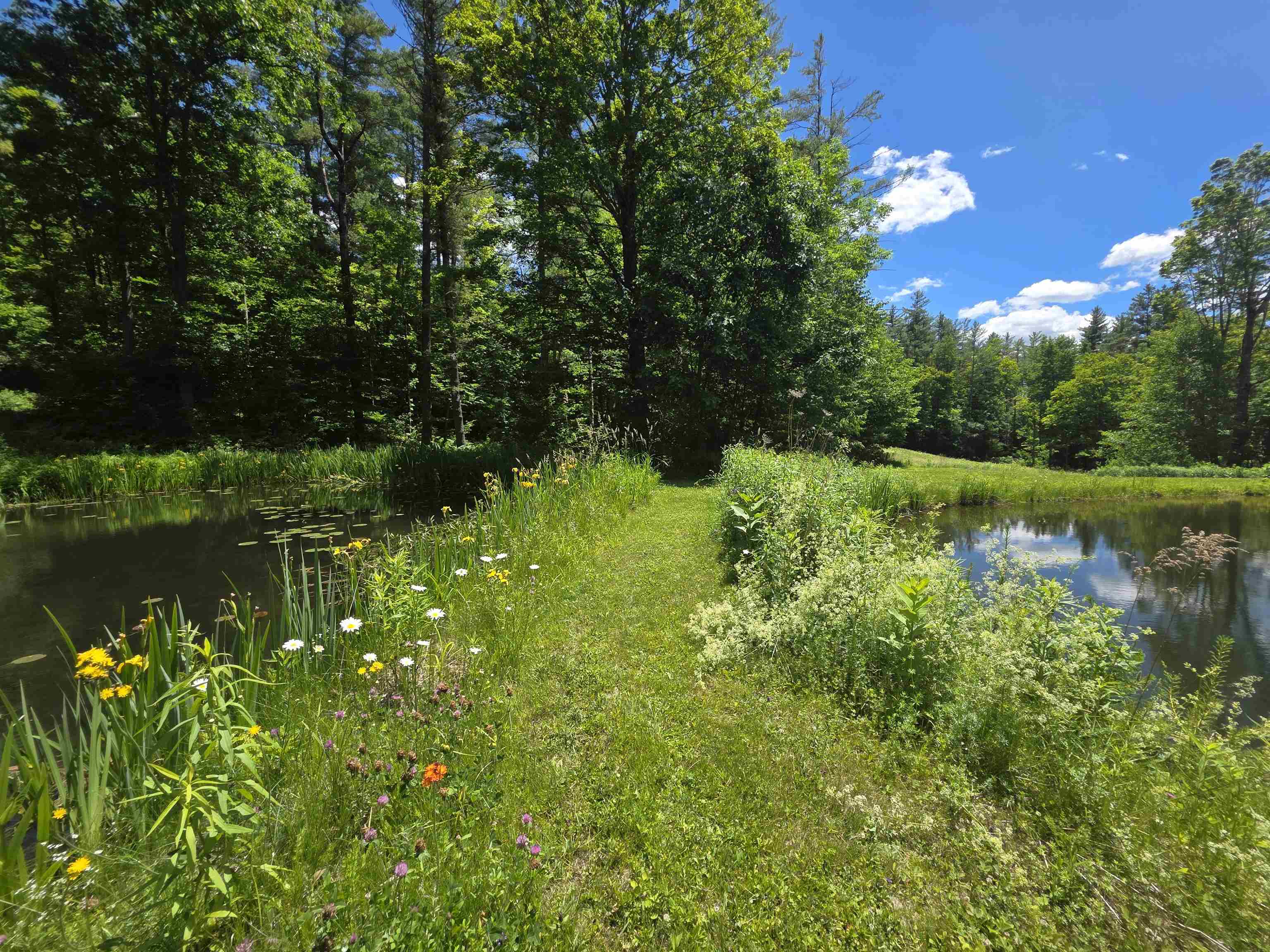 596 Four Chimneys Road Property Photo 38