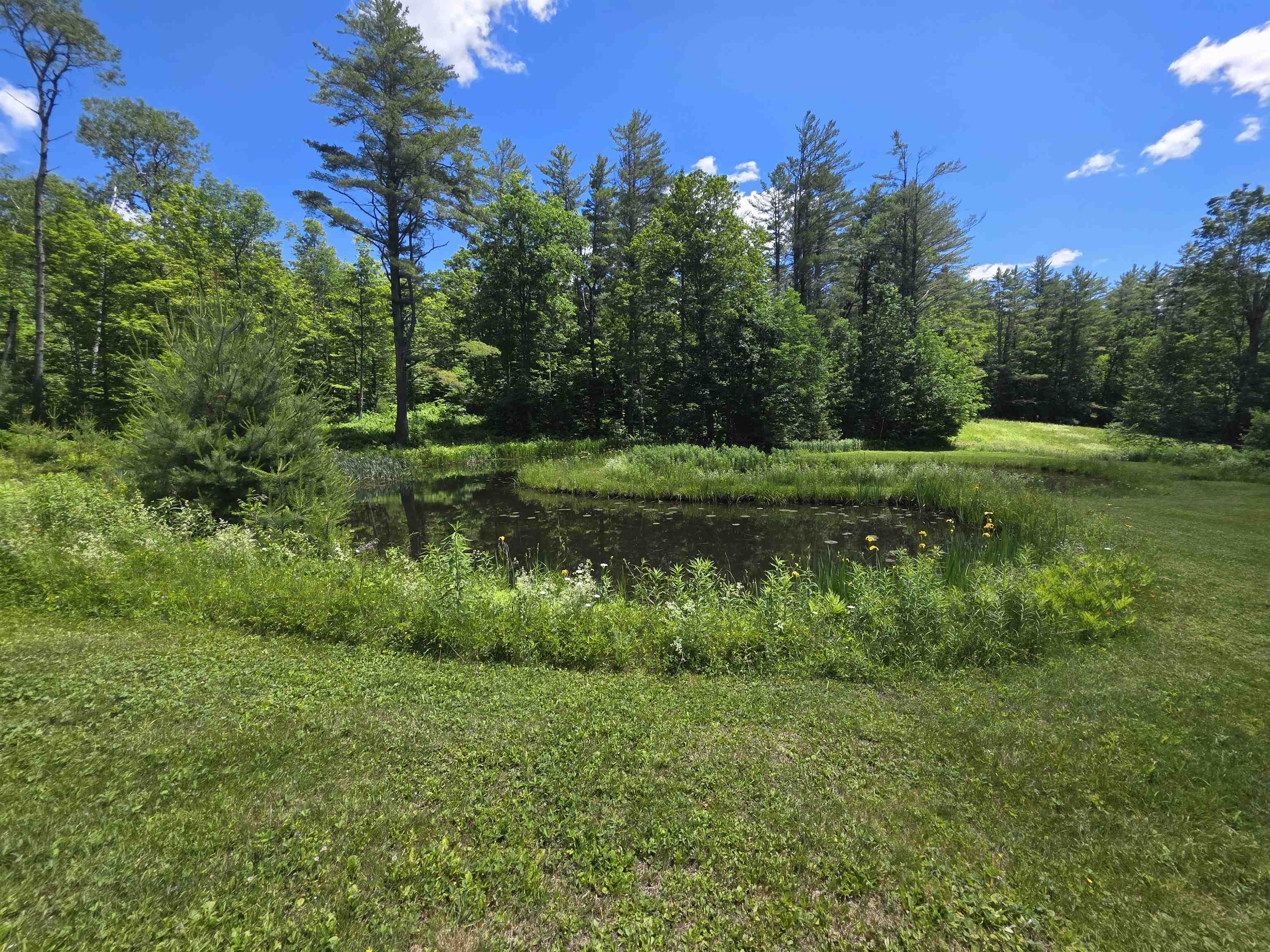 596 Four Chimneys Road Property Photo 40