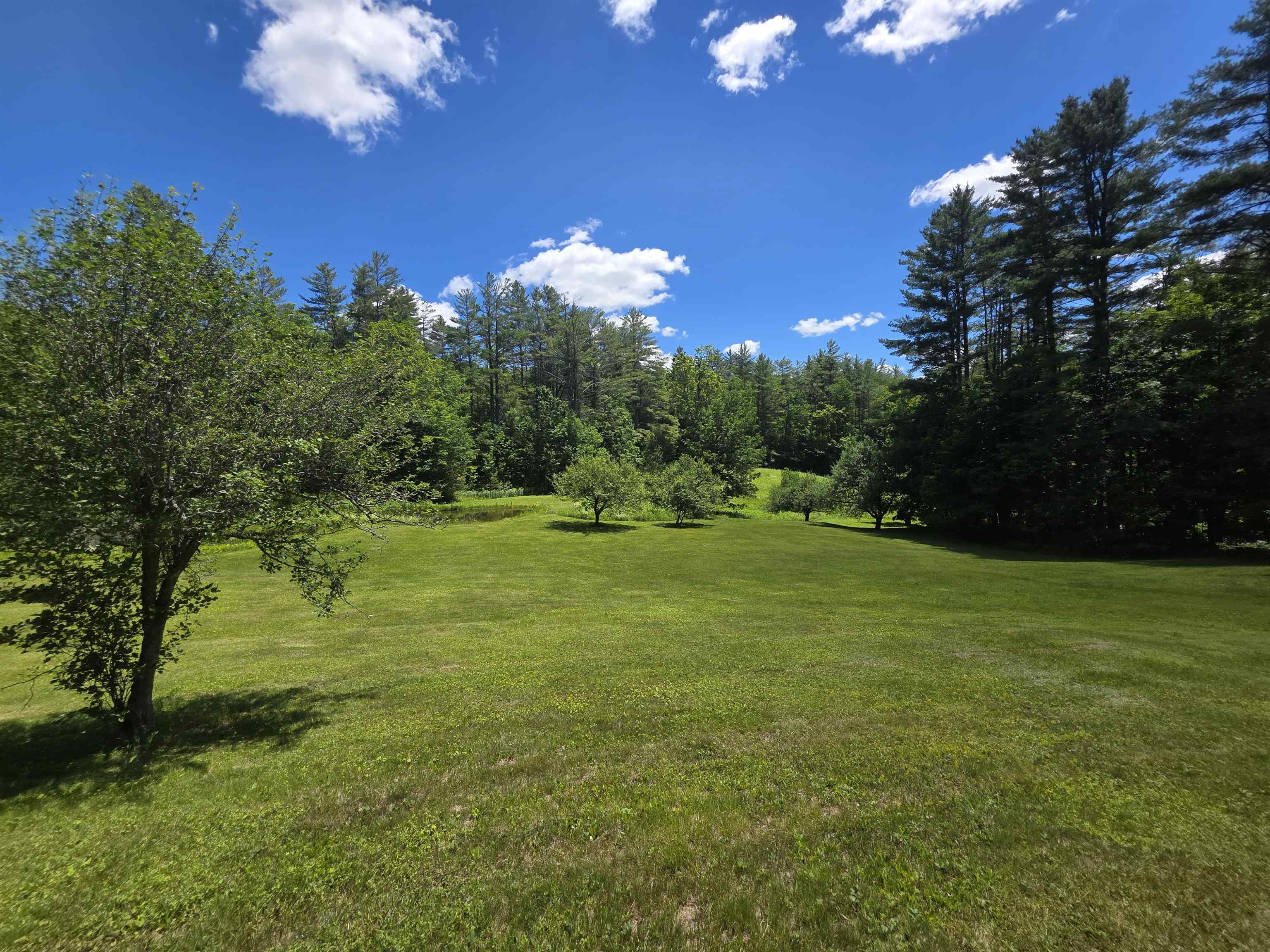 596 Four Chimneys Road Property Photo 41