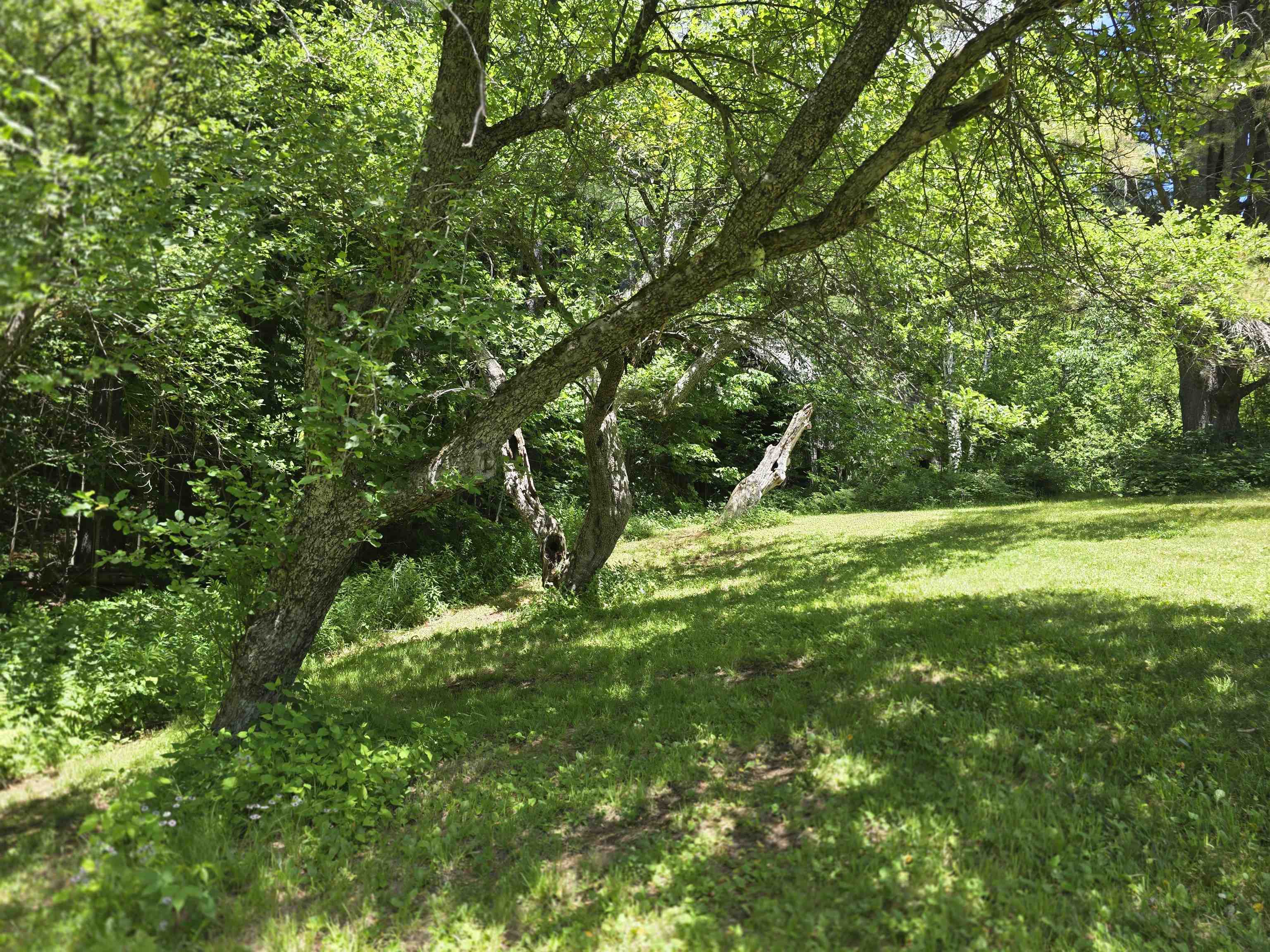 596 Four Chimneys Road Property Photo 43