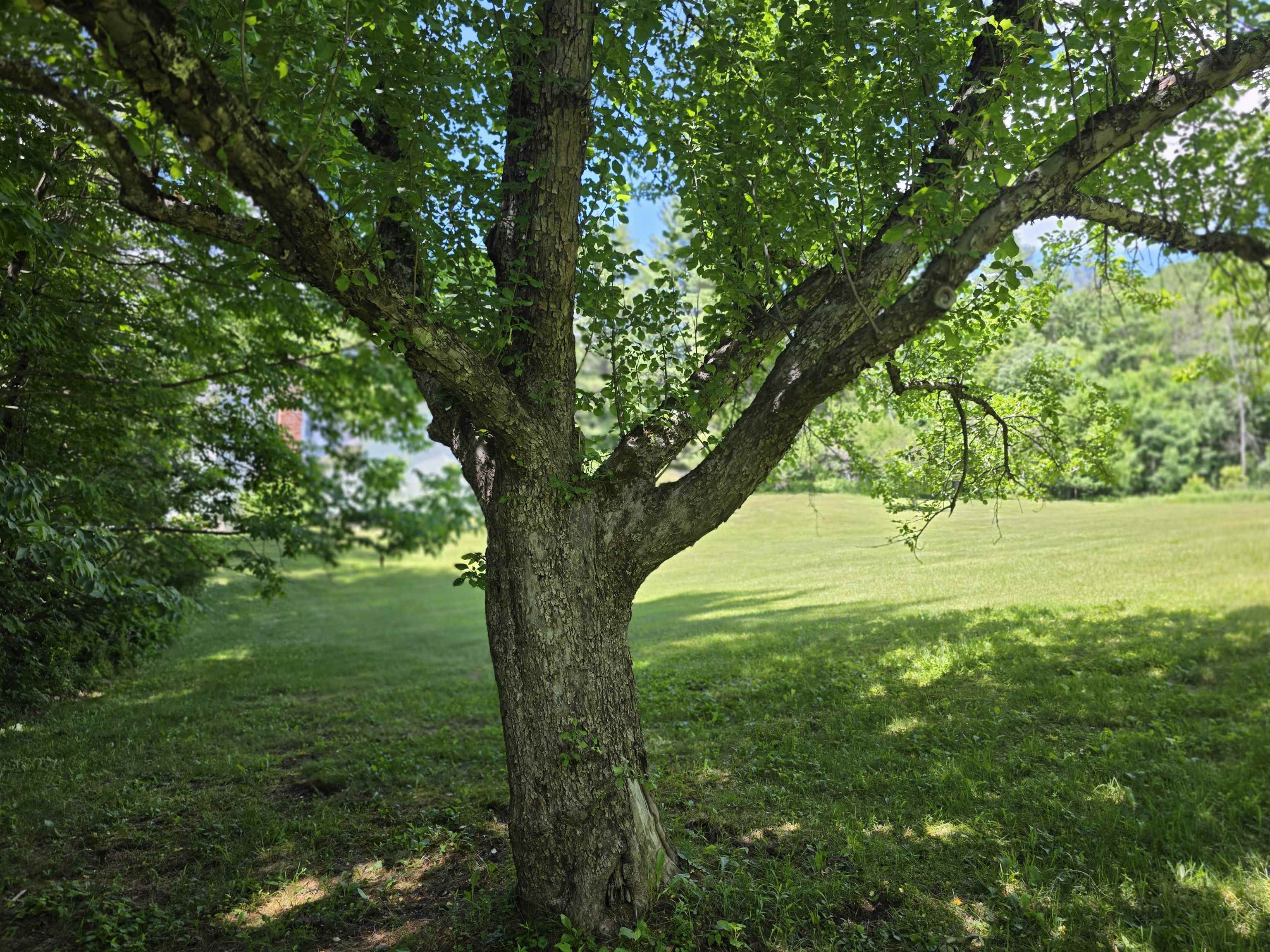 596 Four Chimneys Road Property Photo 44