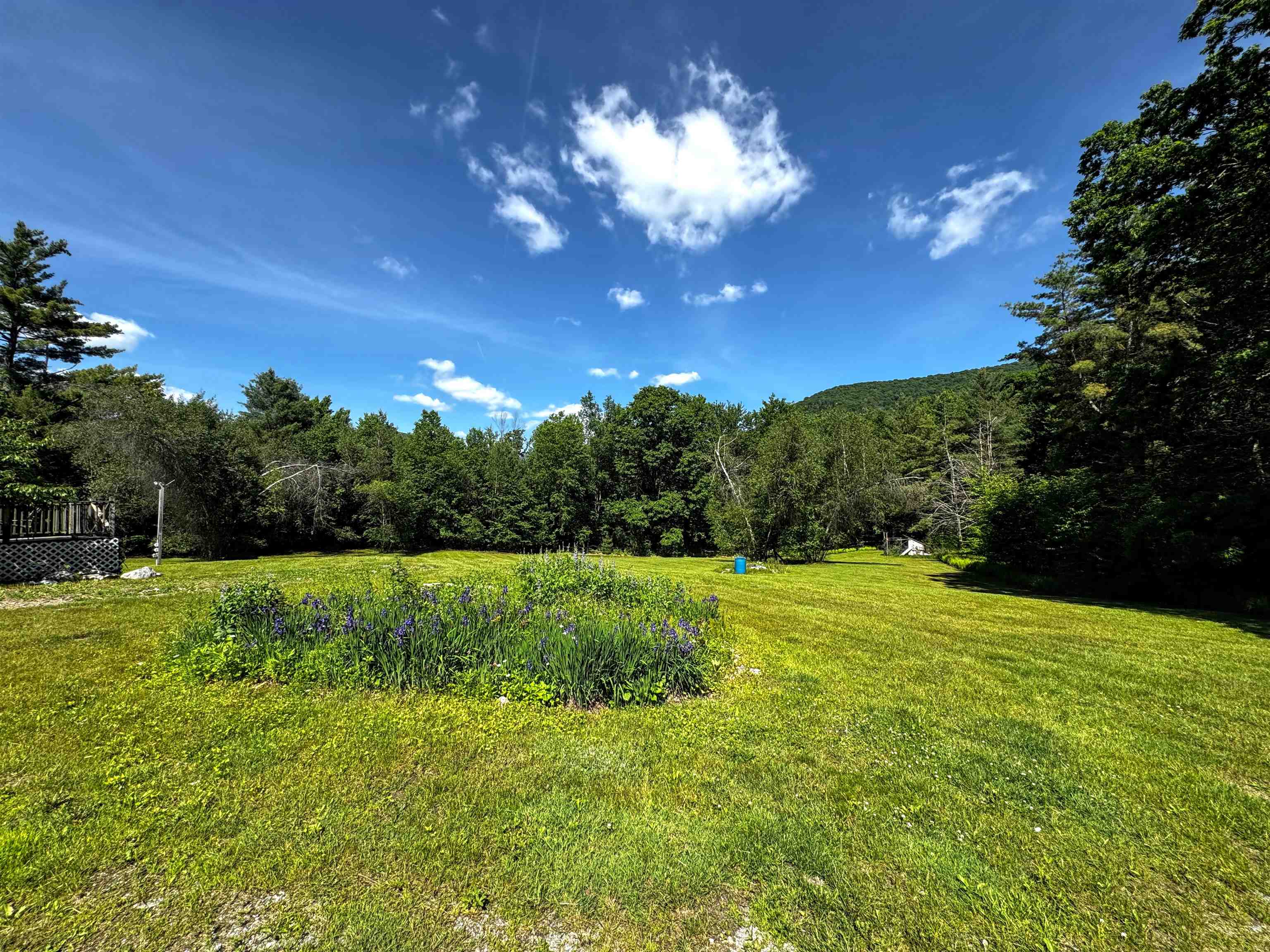 219 Shamrock Hill Property Photo 4