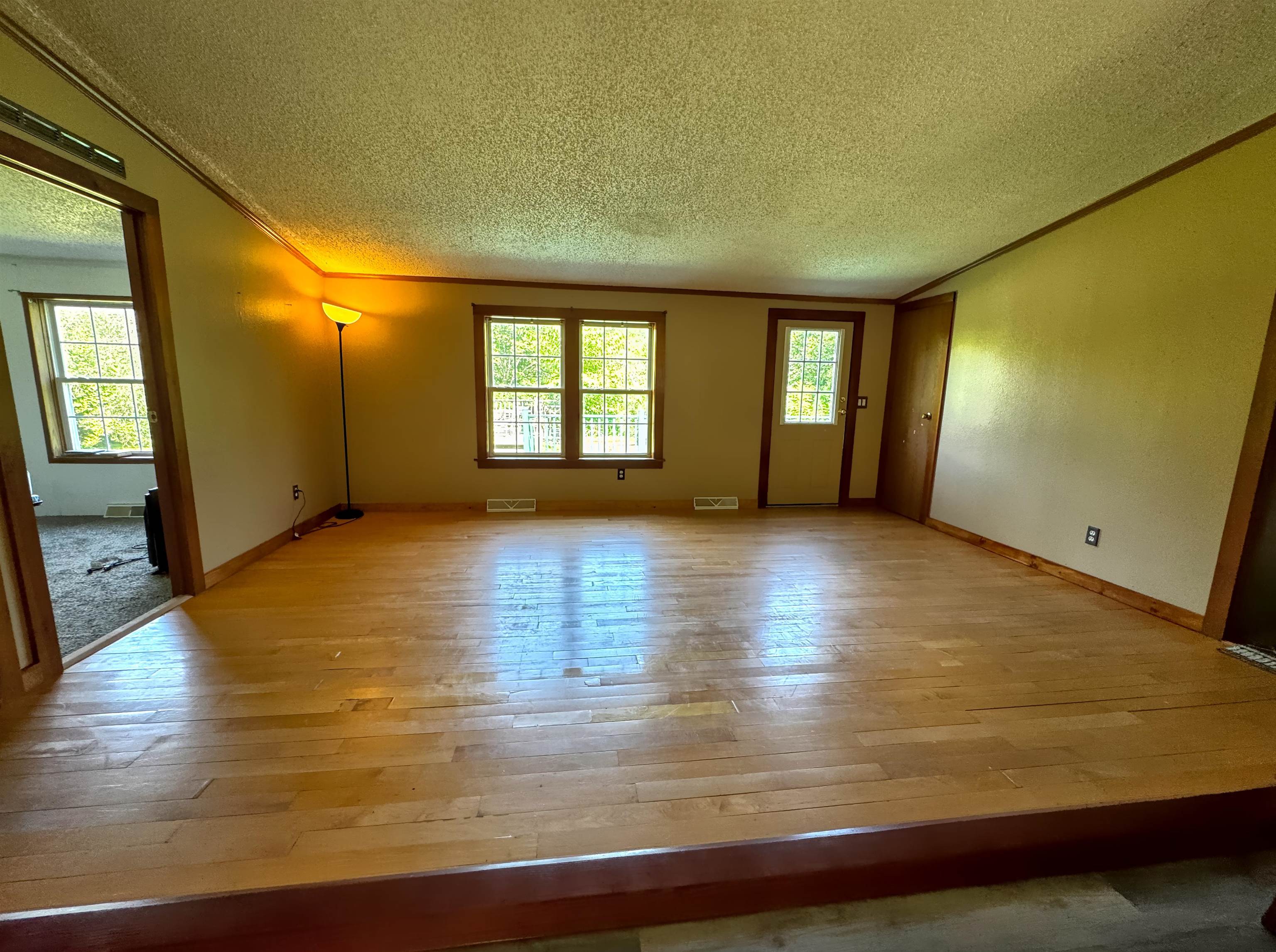 219 Shamrock Hill Property Photo 12