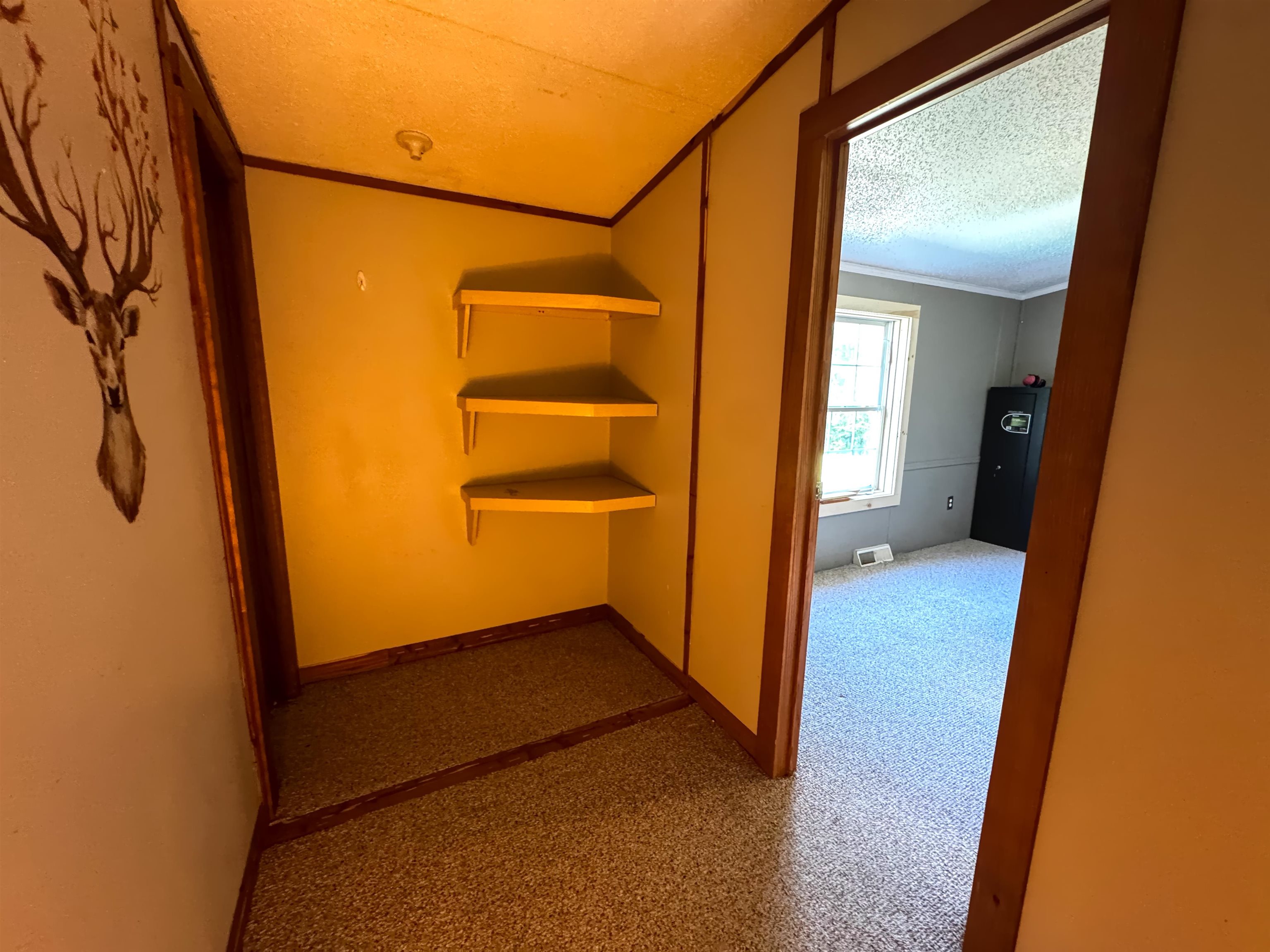 219 Shamrock Hill Property Photo 28