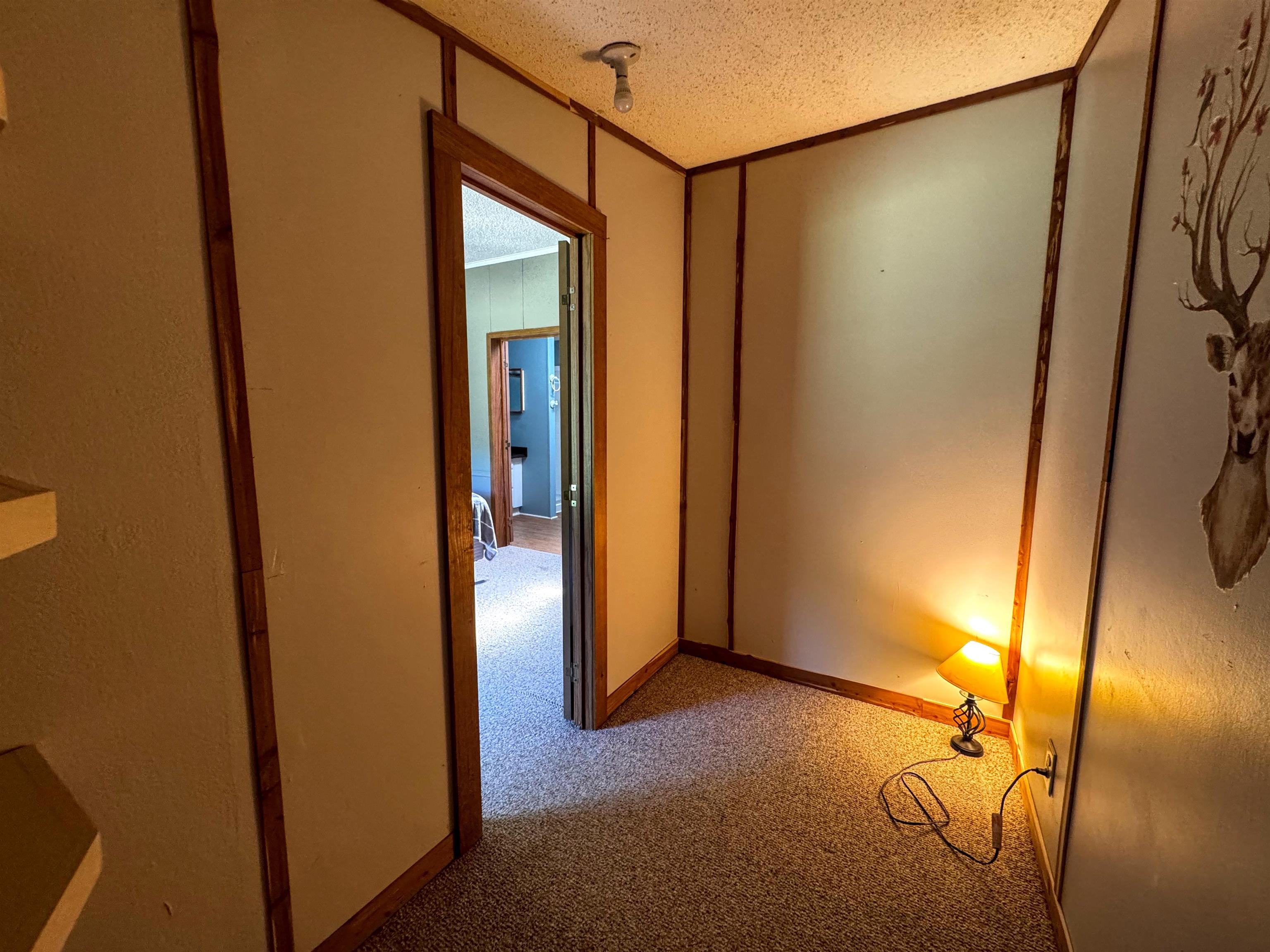 219 Shamrock Hill Property Photo 29
