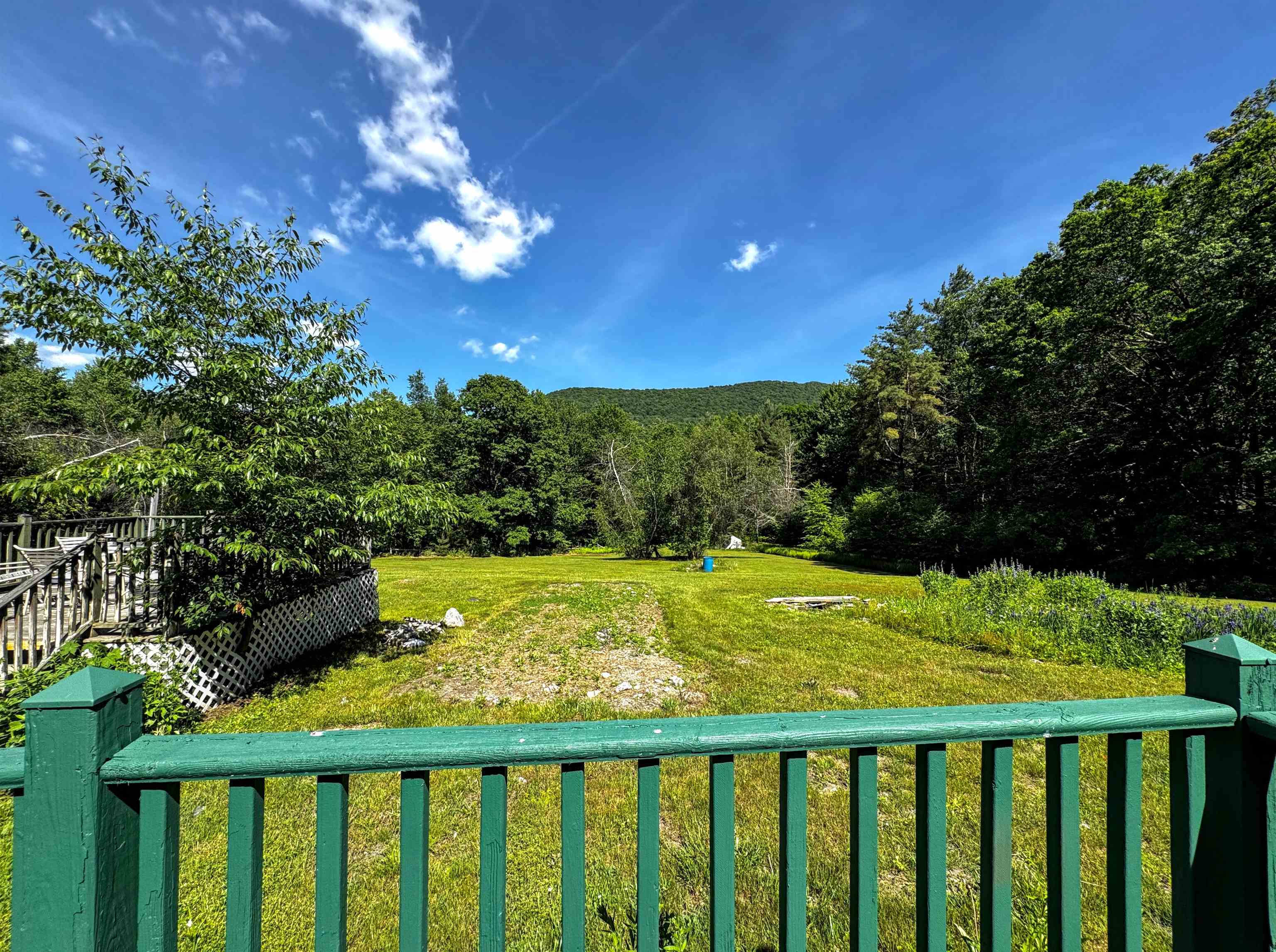 219 Shamrock Hill Property Photo 45