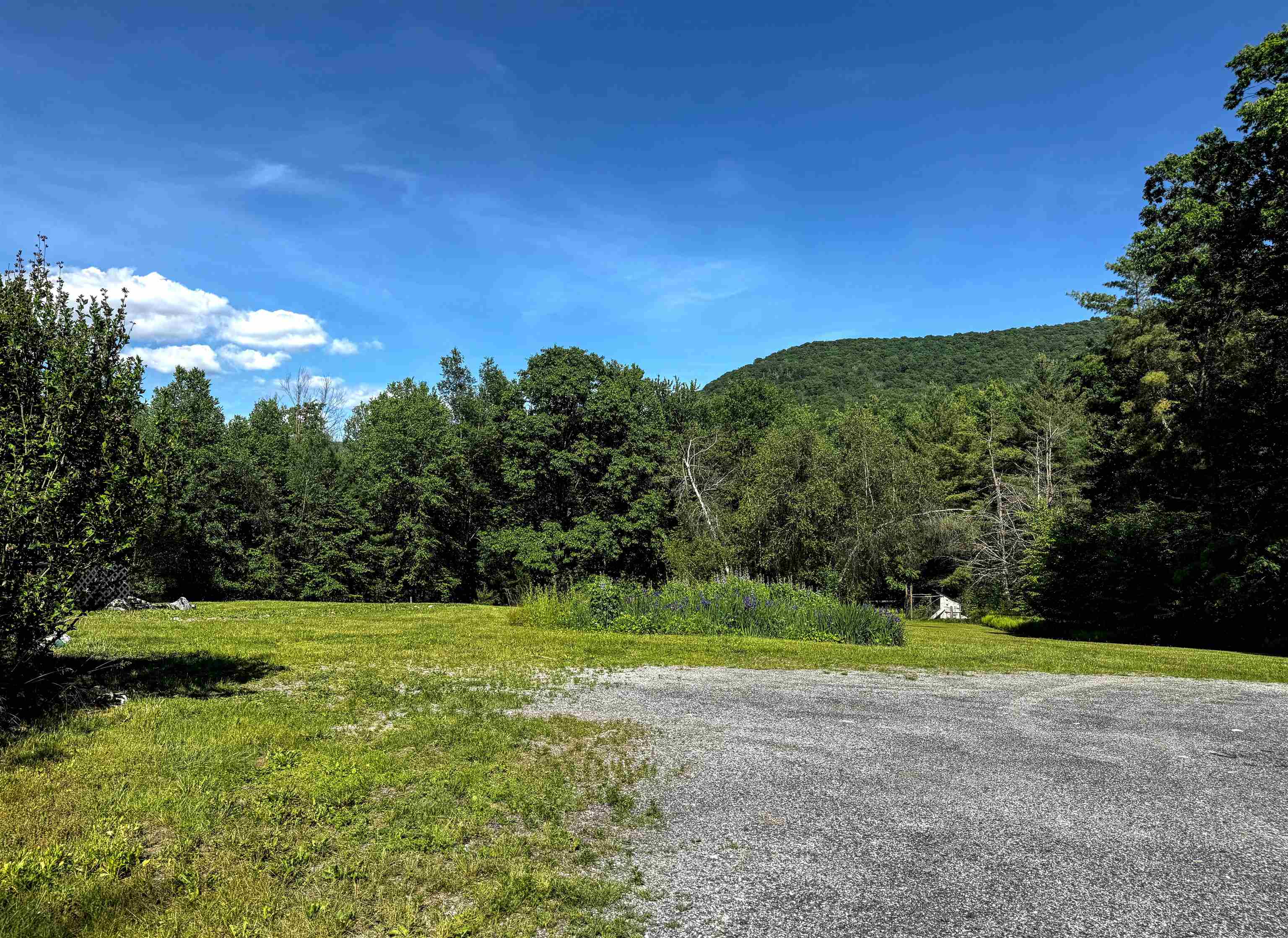 219 Shamrock Hill Property Photo 59
