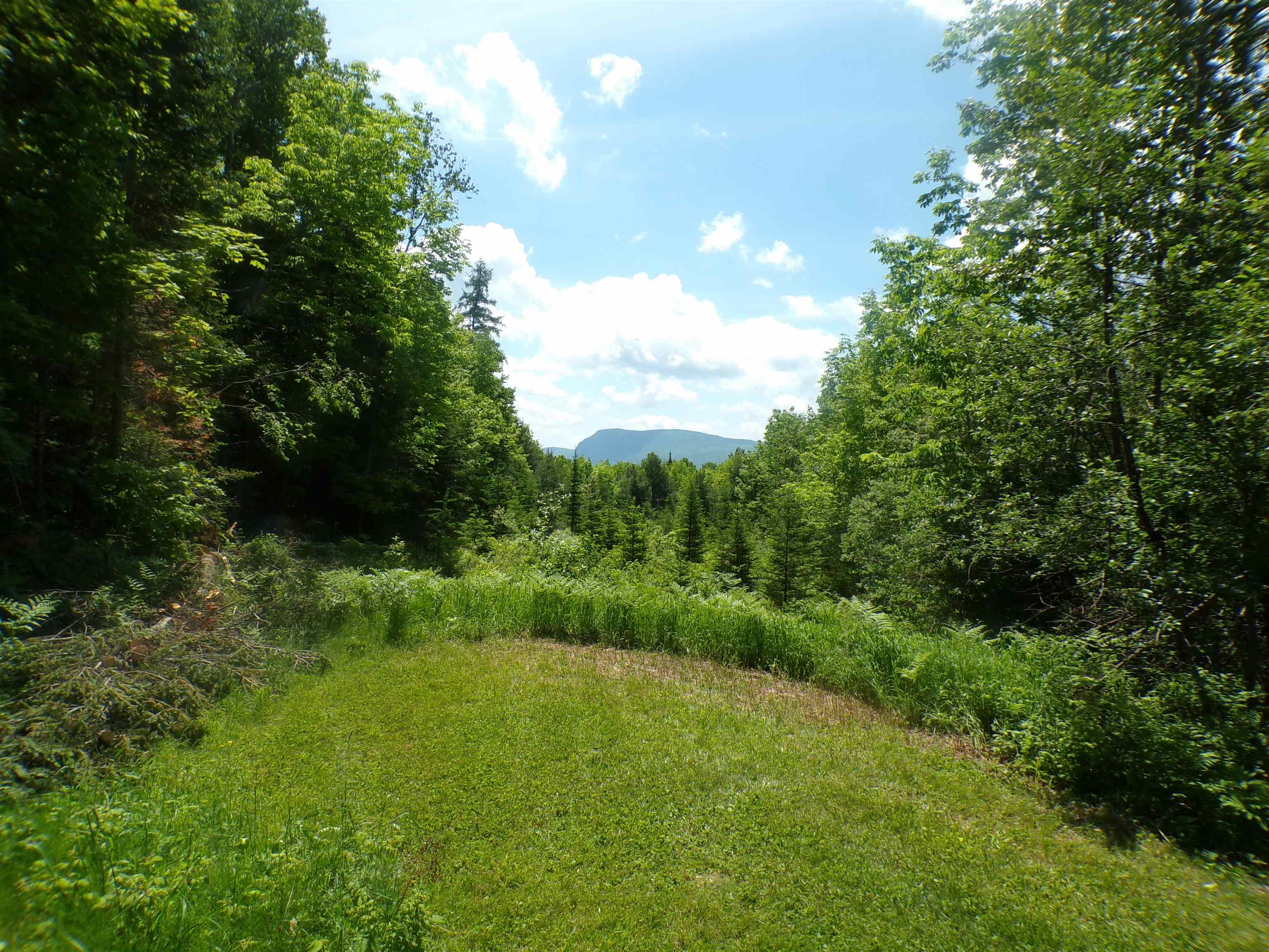 117 Parenteau Lane Property Photo 6