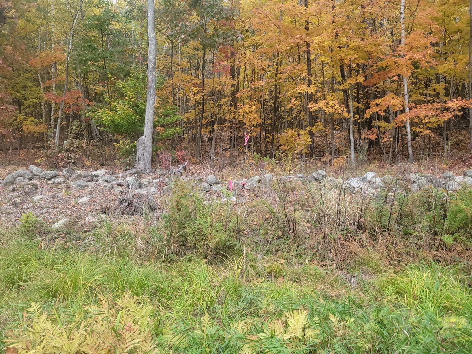 Lot 30-2-1 North Road Property Photo 5