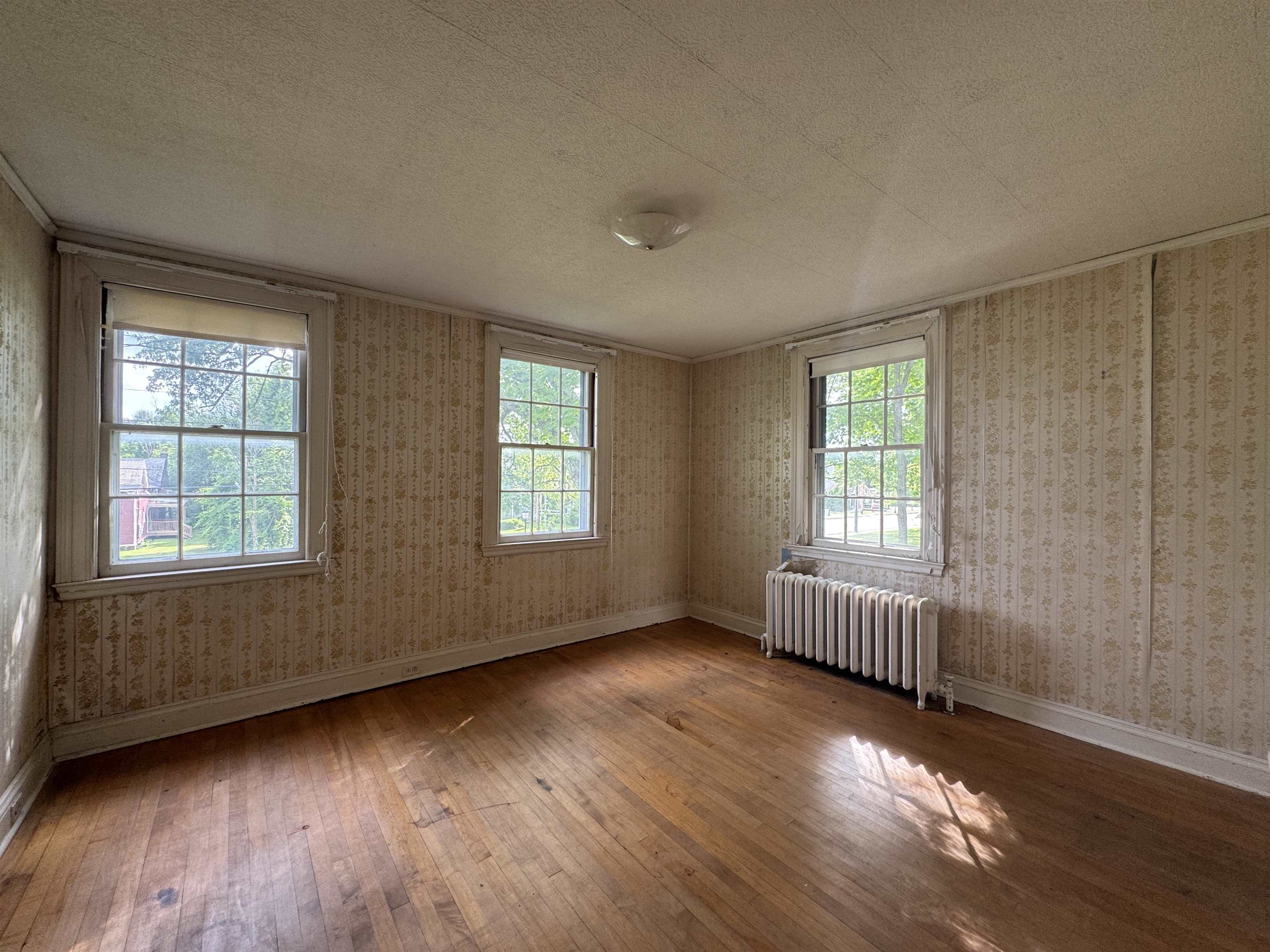 31 Pearl Street Property Photo 11