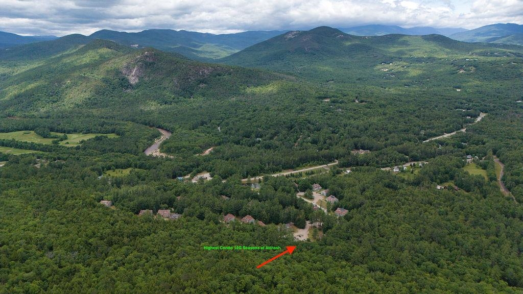 14g The Seasons At Attitash Property Photo 41
