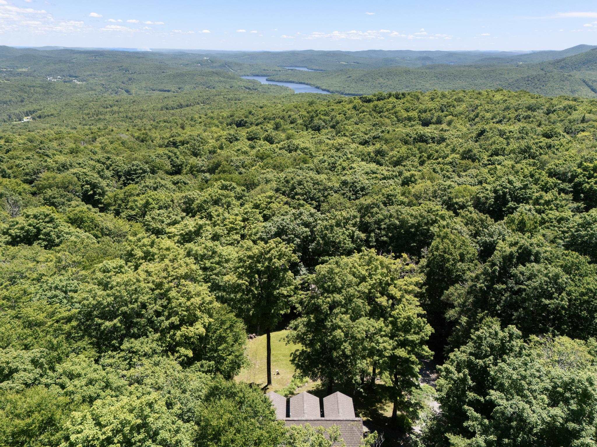 7 Lightning Ledge Way Property Photo 6