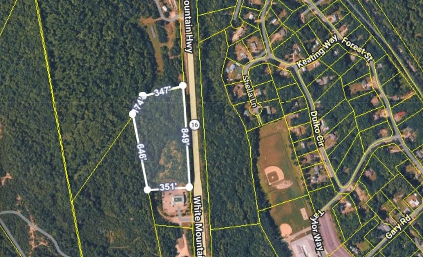 White Mountain Highway Property Photo 2