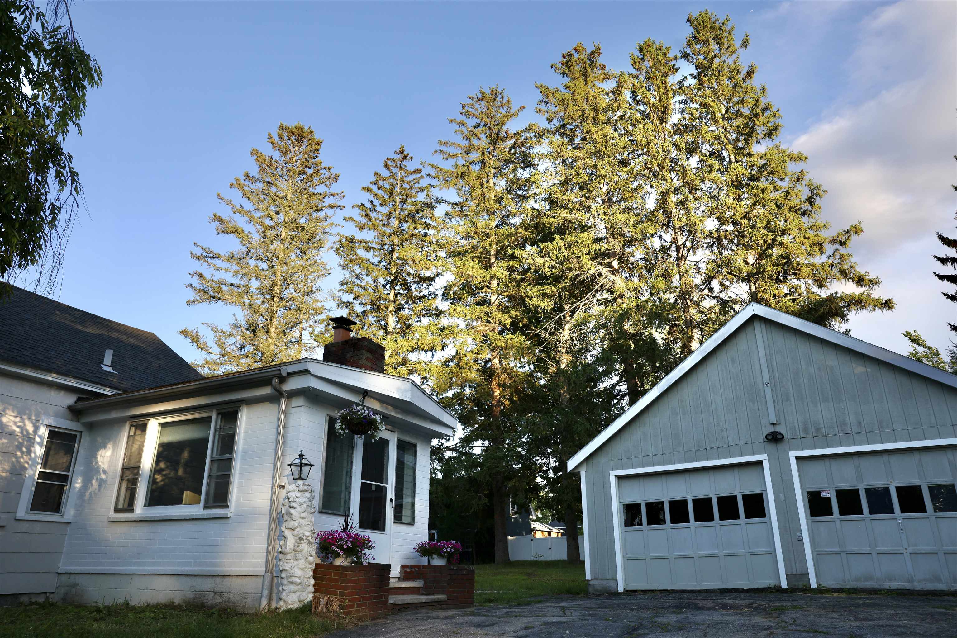 15 Warren Avenue Property Photo 4