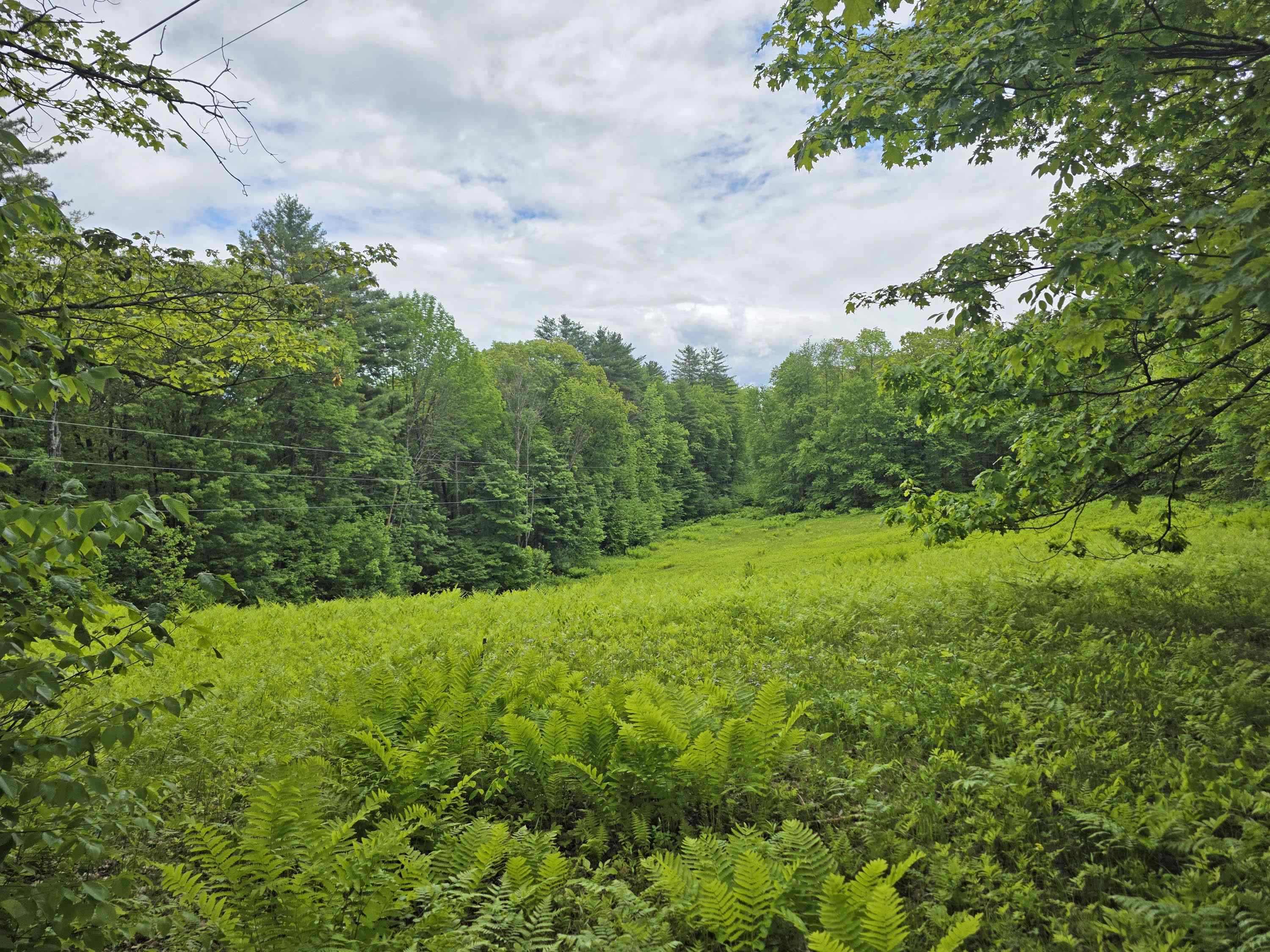 157 Newfane Hill Road Property Photo 2