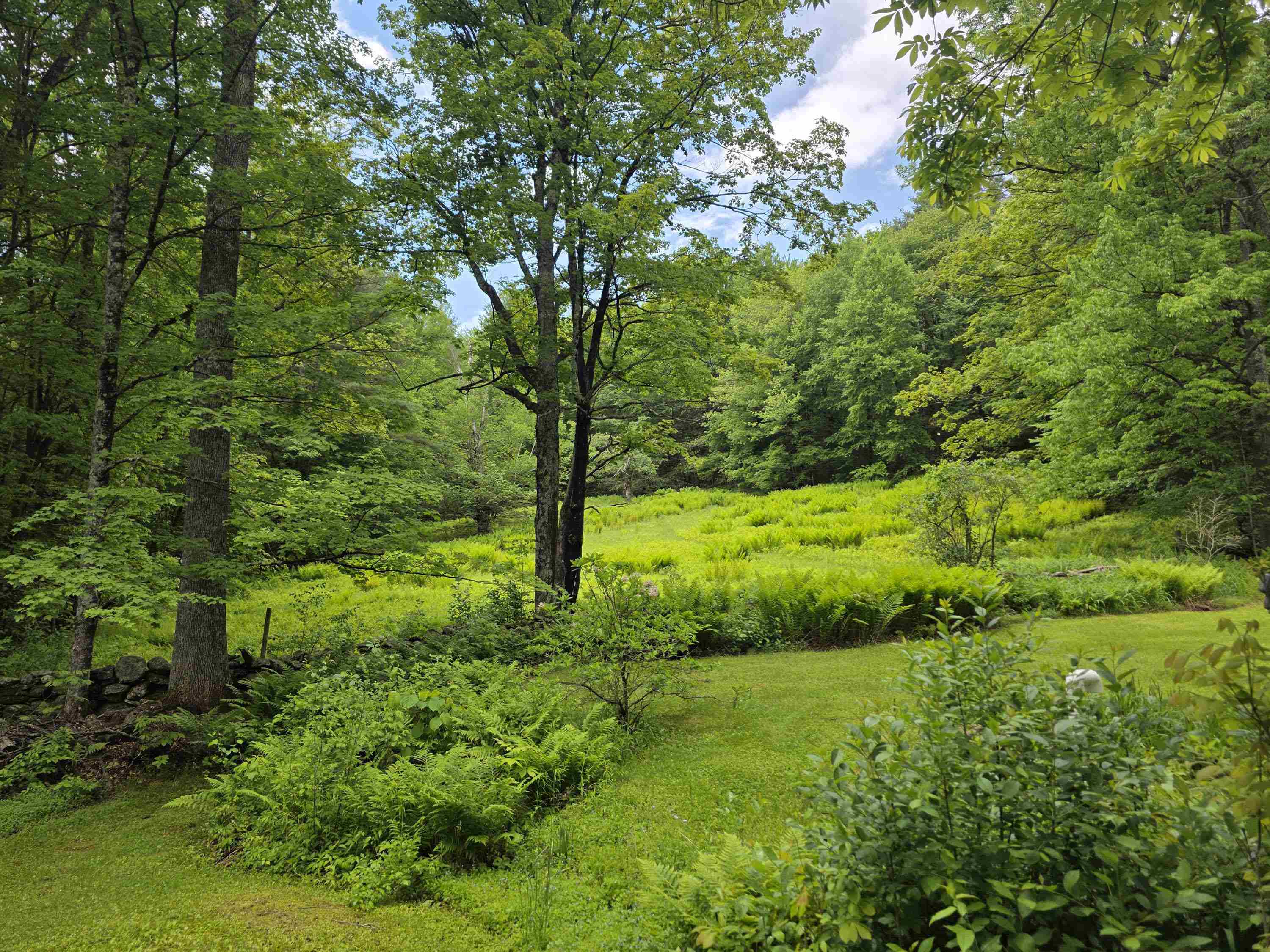 157 Newfane Hill Road Property Photo 3