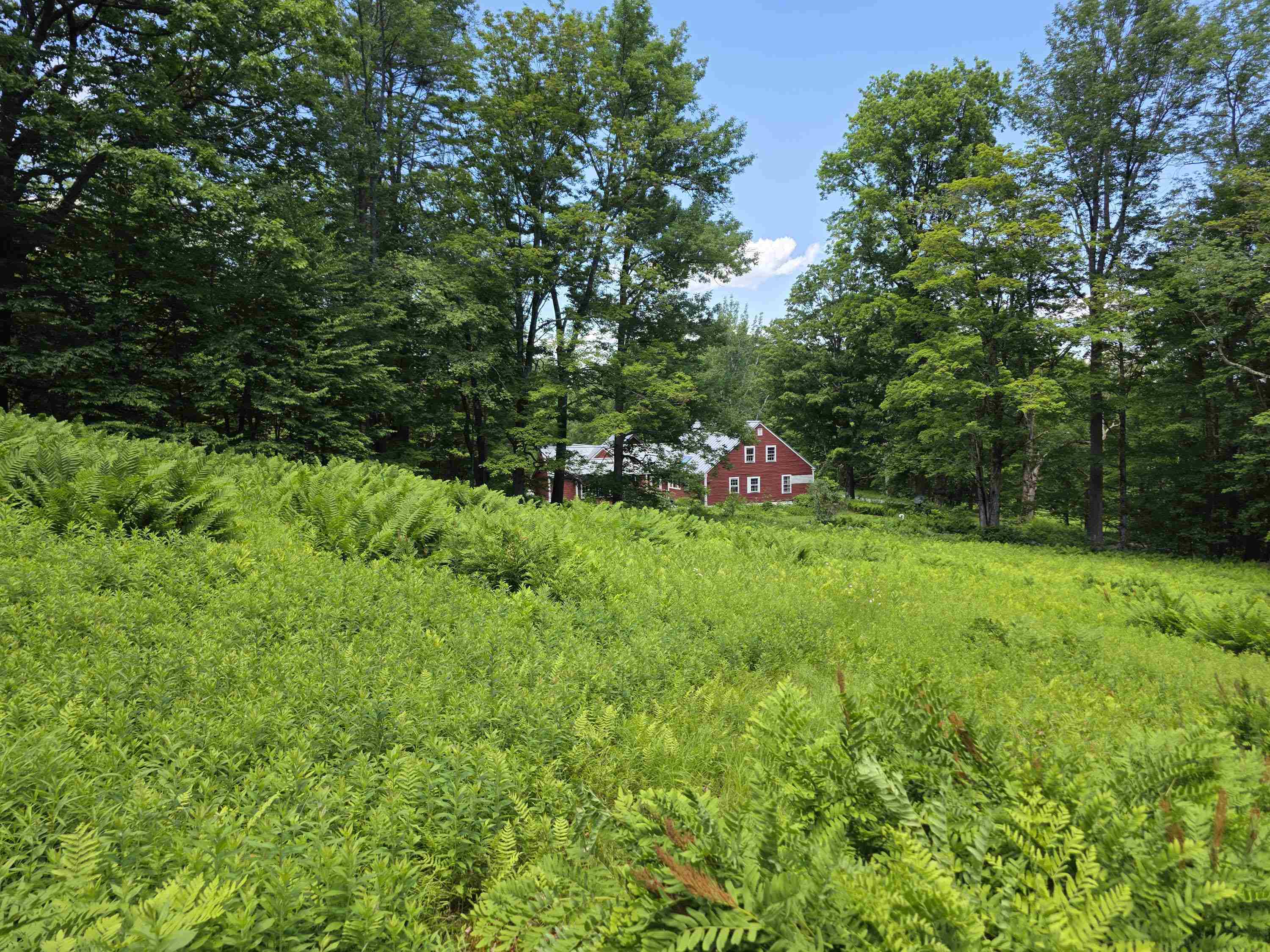 157 Newfane Hill Road Property Photo 4