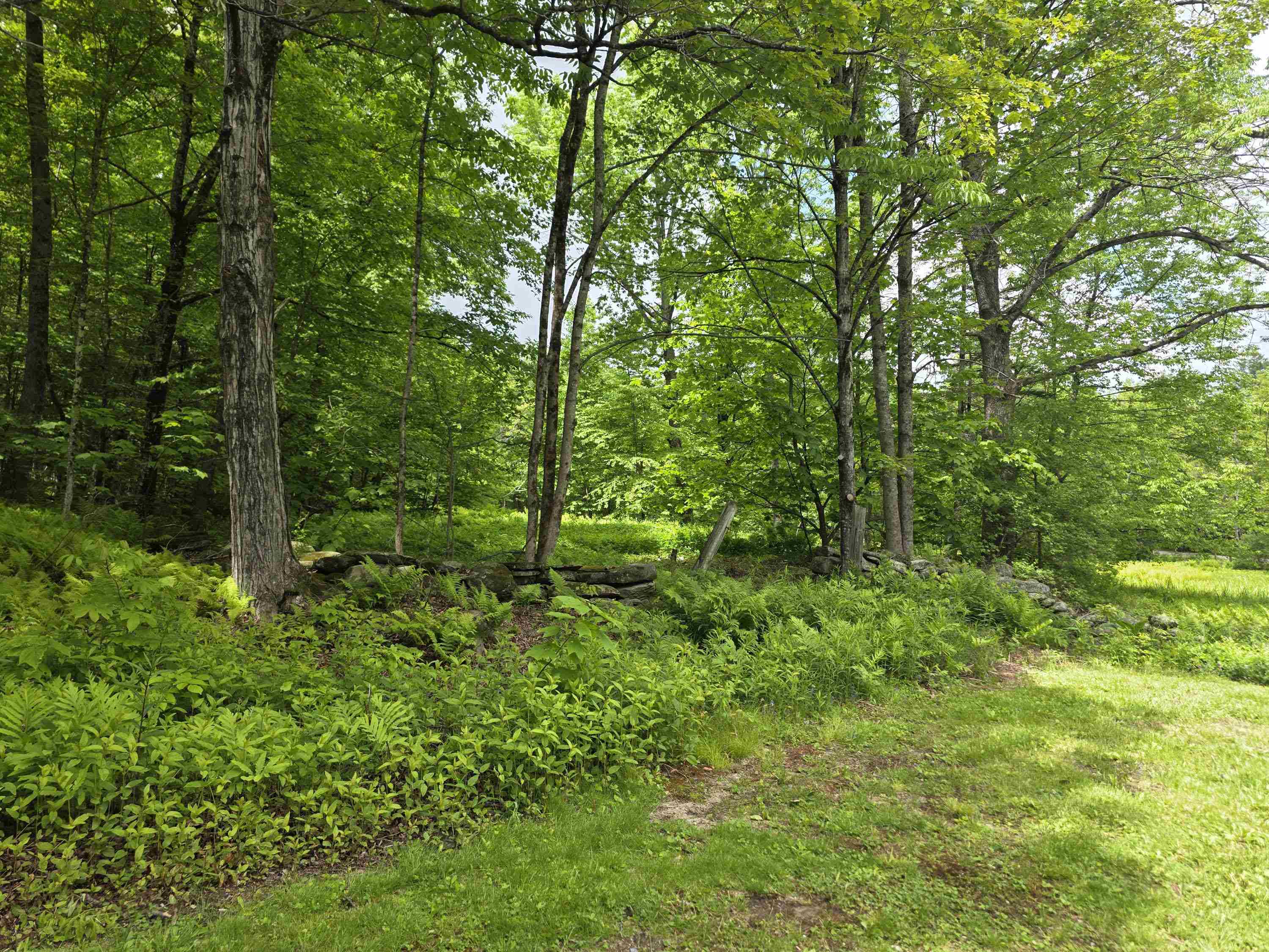 157 Newfane Hill Road Property Photo 9