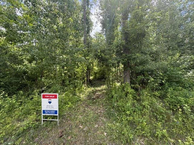 13s Mountain View Drive Property Photo 6