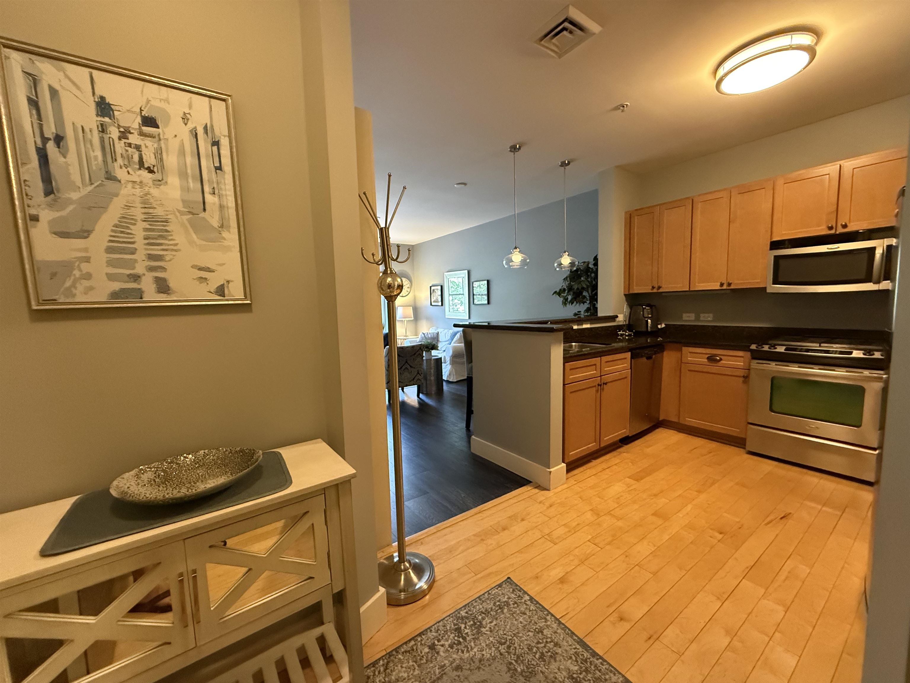 60 Winooski Falls Way Property Photo 3