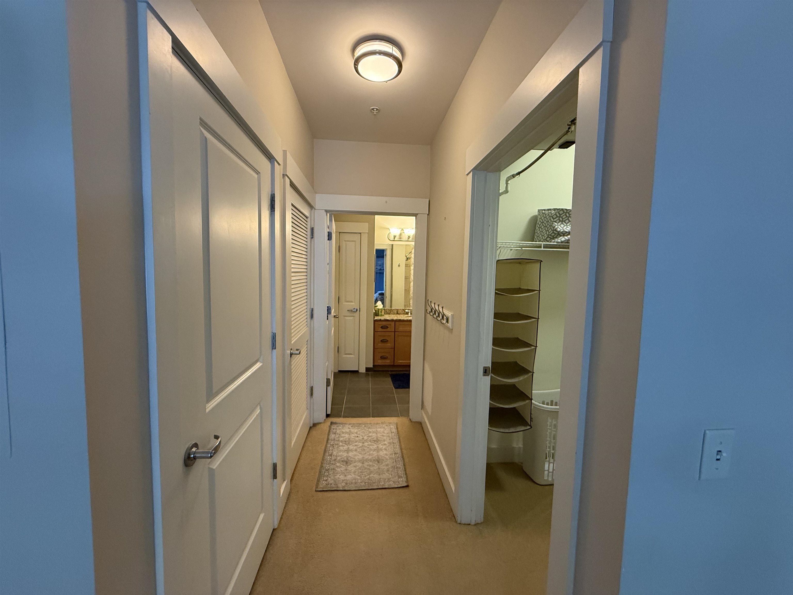 60 Winooski Falls Way Property Photo 11