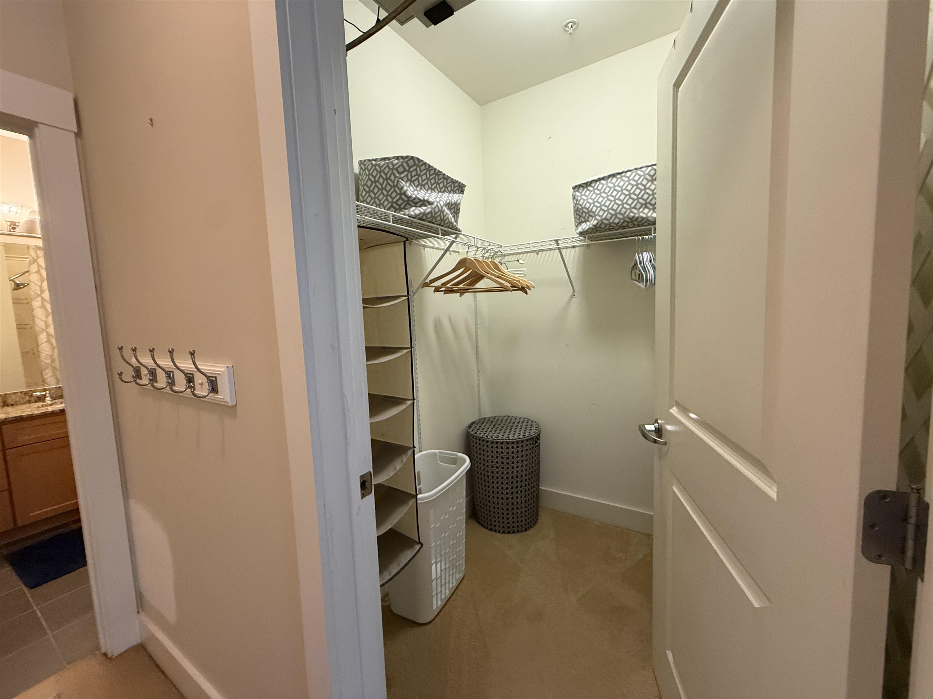 60 Winooski Falls Way Property Photo 12