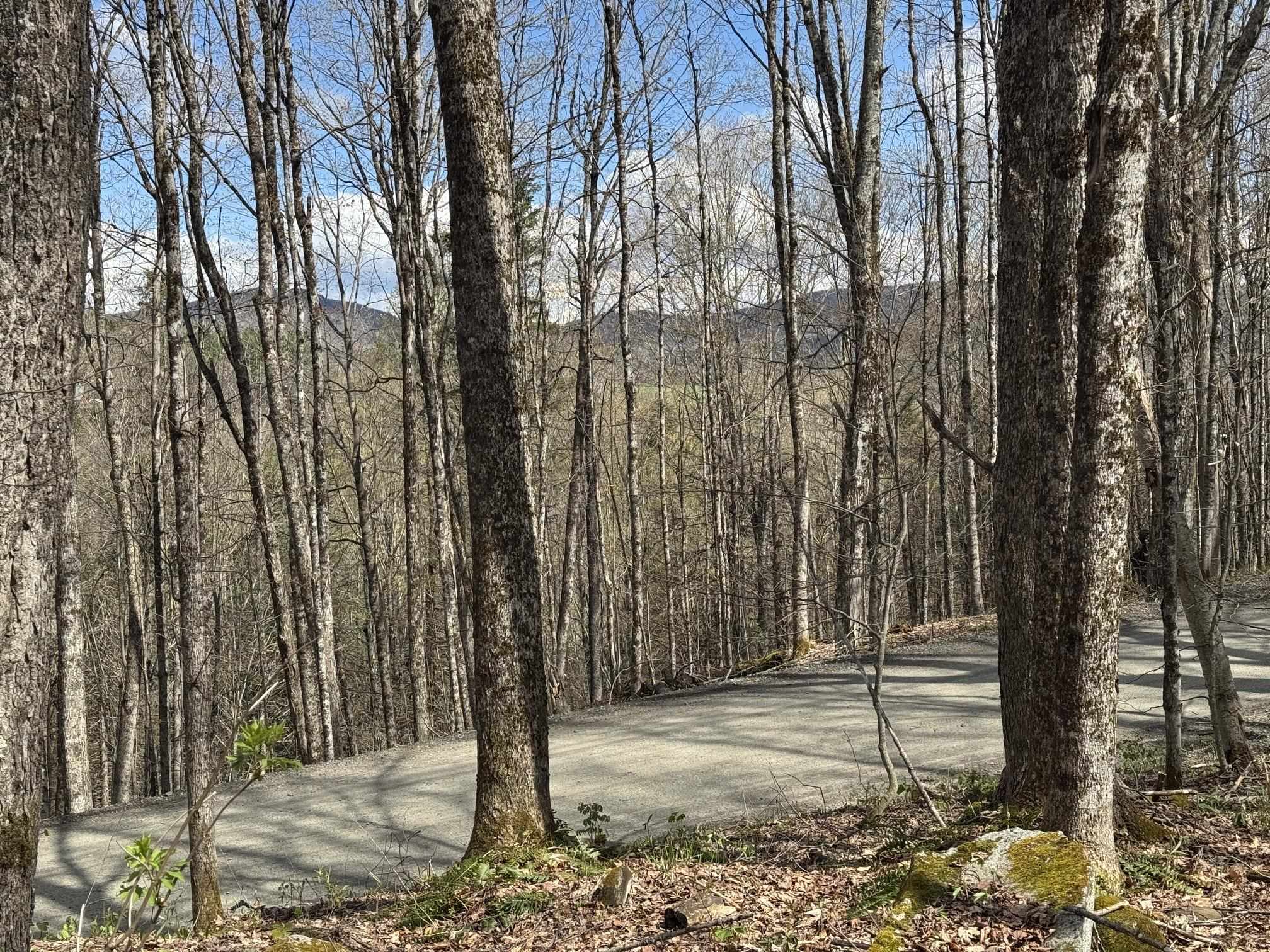 316 Last Road Property Photo 1