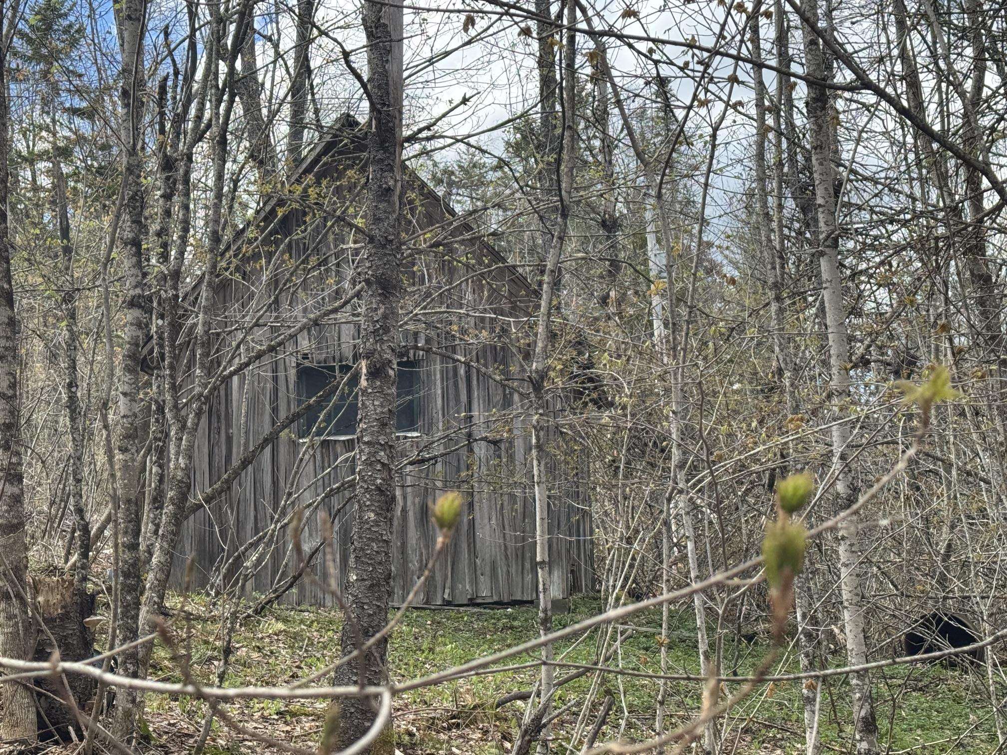 316 Last Road Property Photo 10