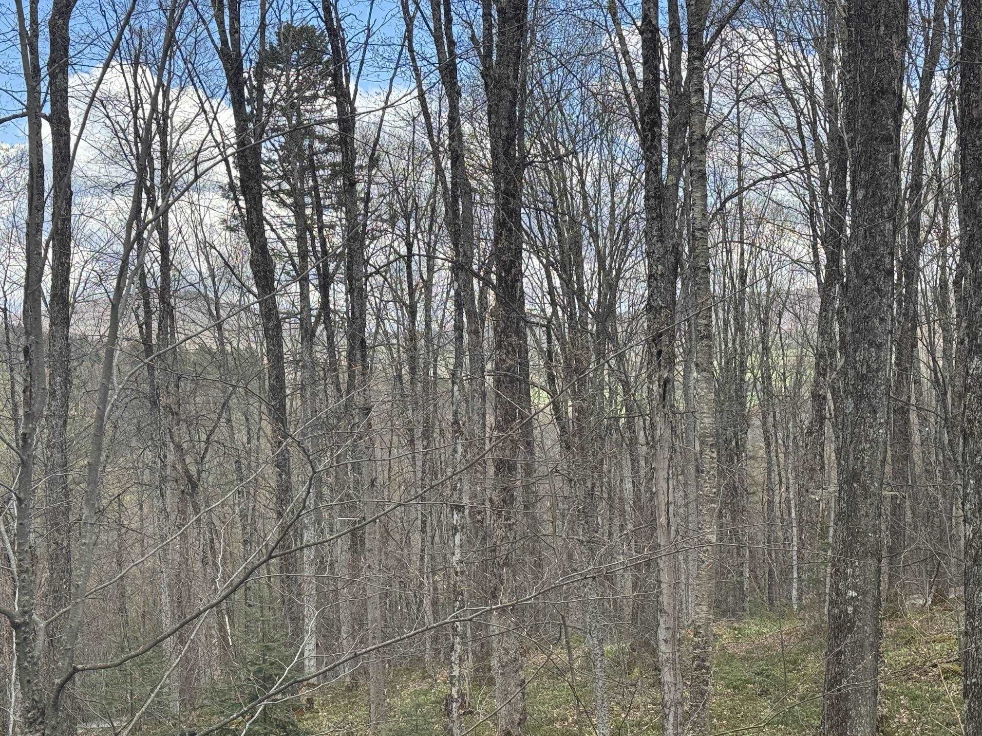 316 Last Road Property Photo 17