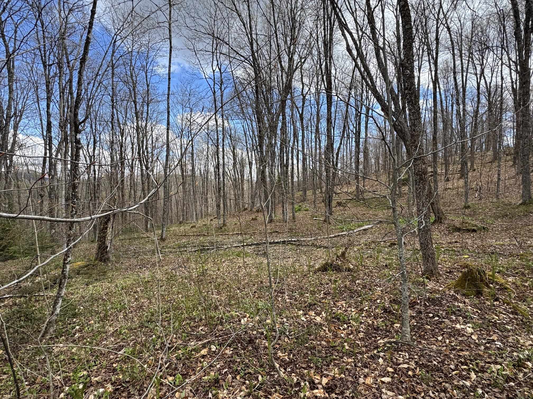 316 Last Road Property Photo 18