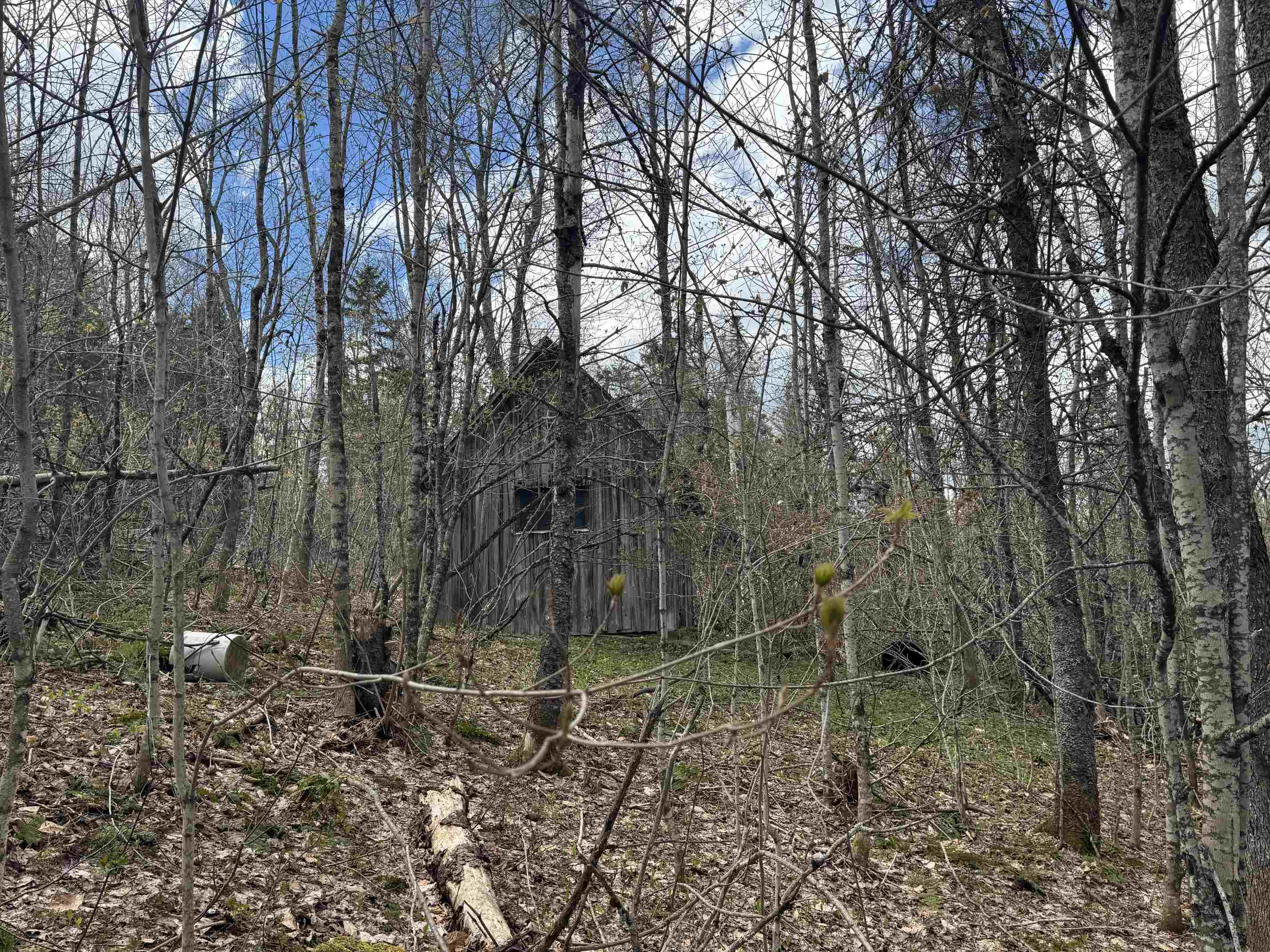 316 Last Road Property Photo 20