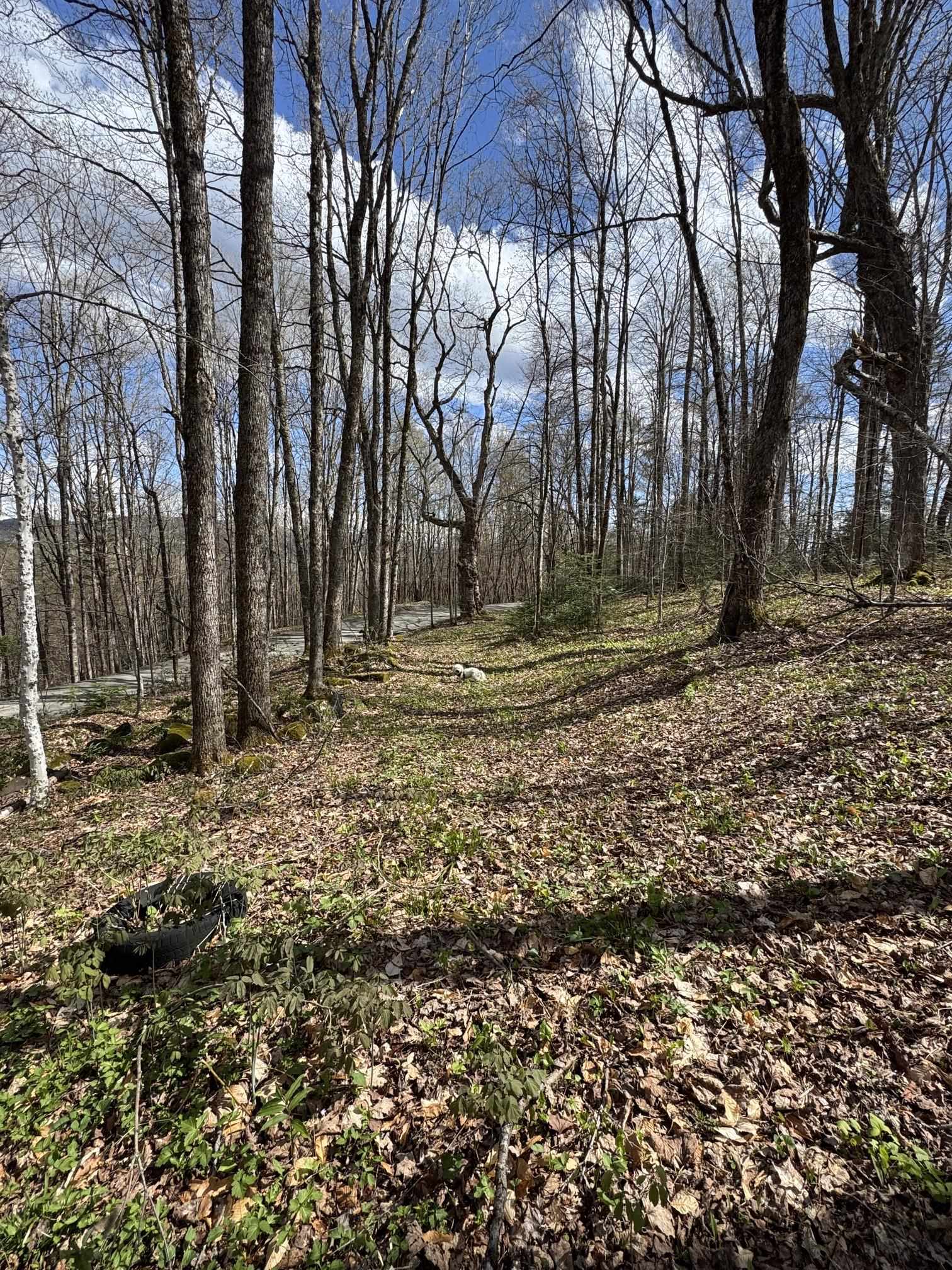 316 Last Road Property Photo 22