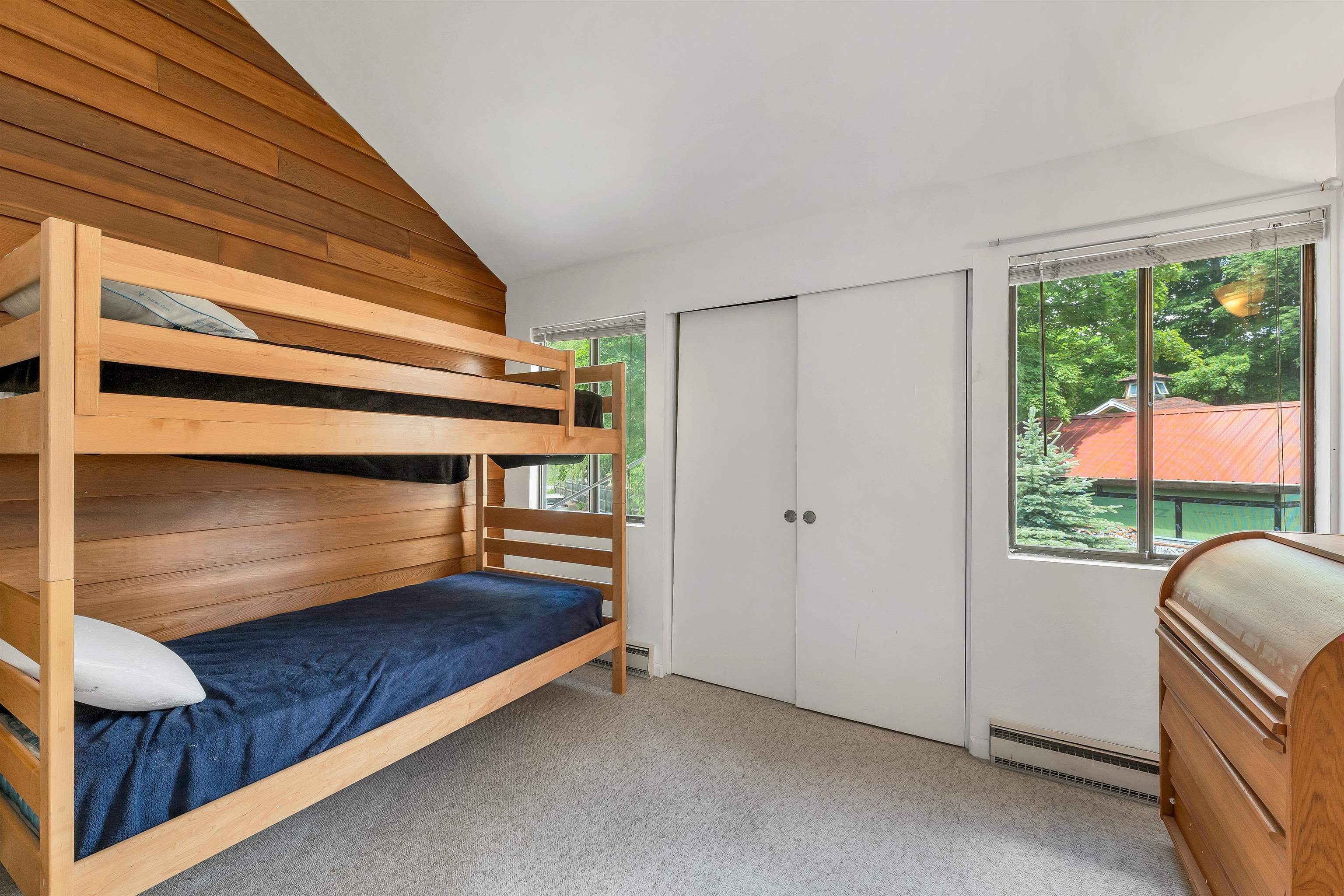 6 Loon Valley Road Property Photo 34