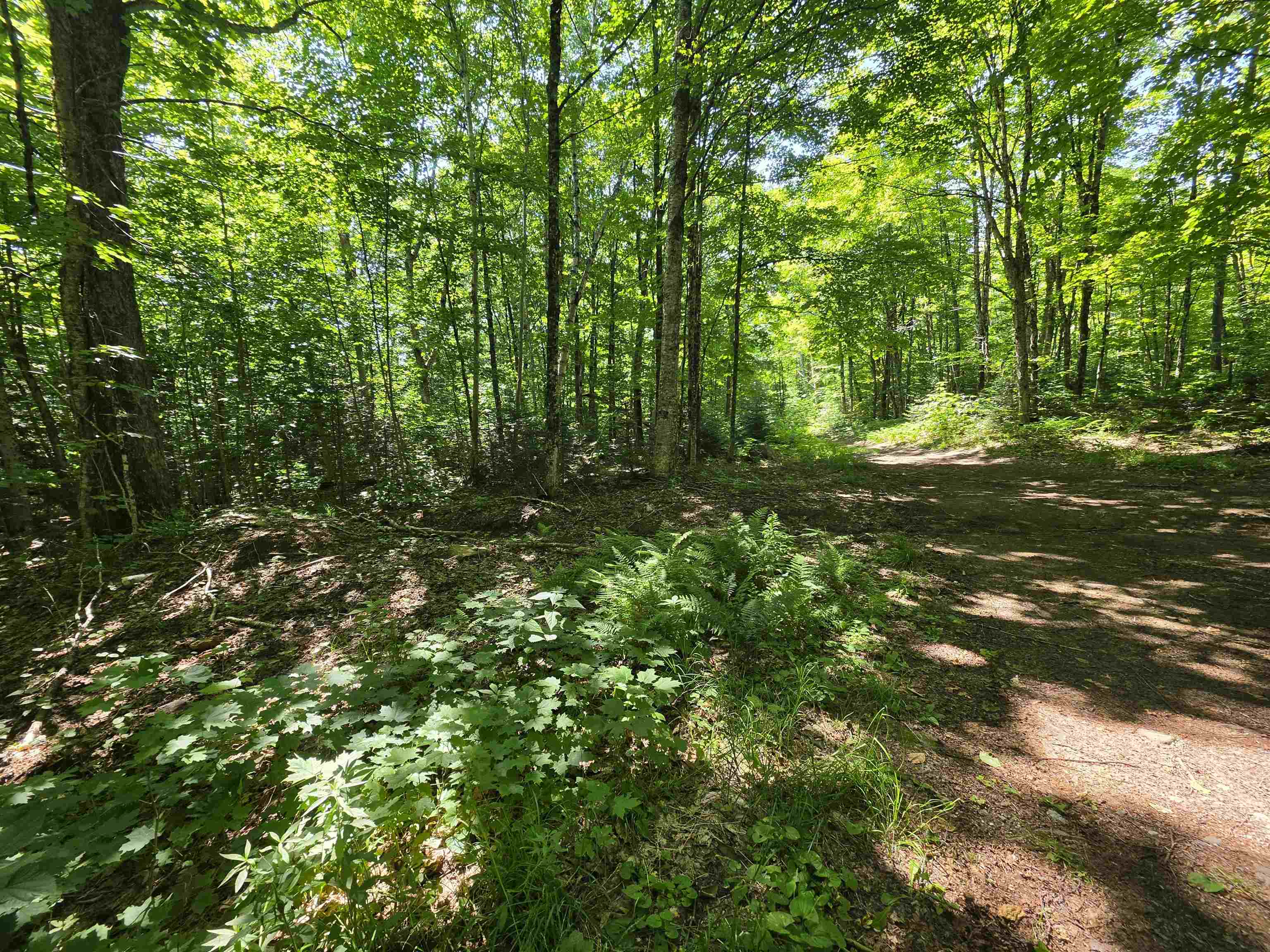 1700 Arcadia Lane Property Photo 1