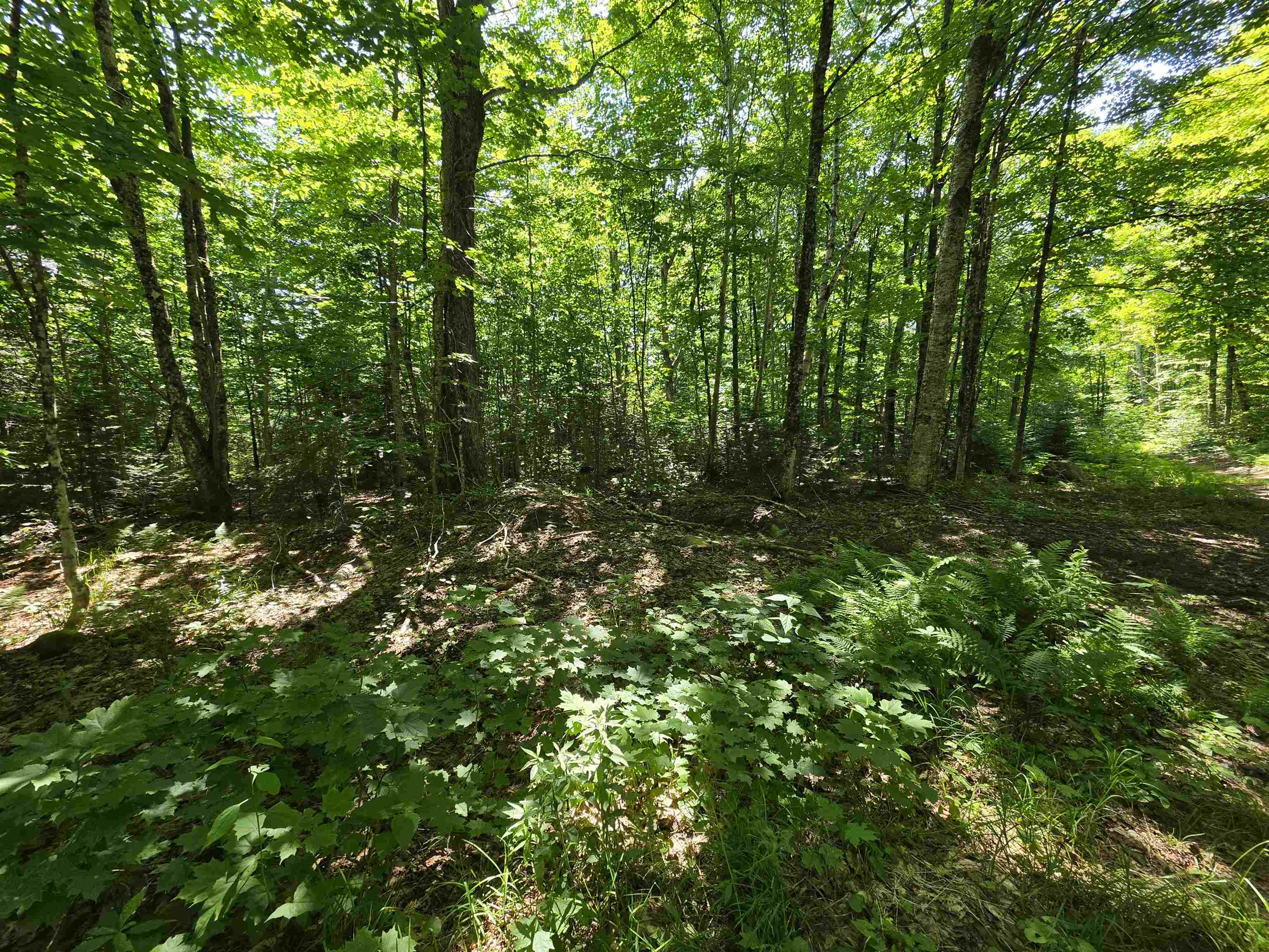 1700 Arcadia Lane Property Photo 2