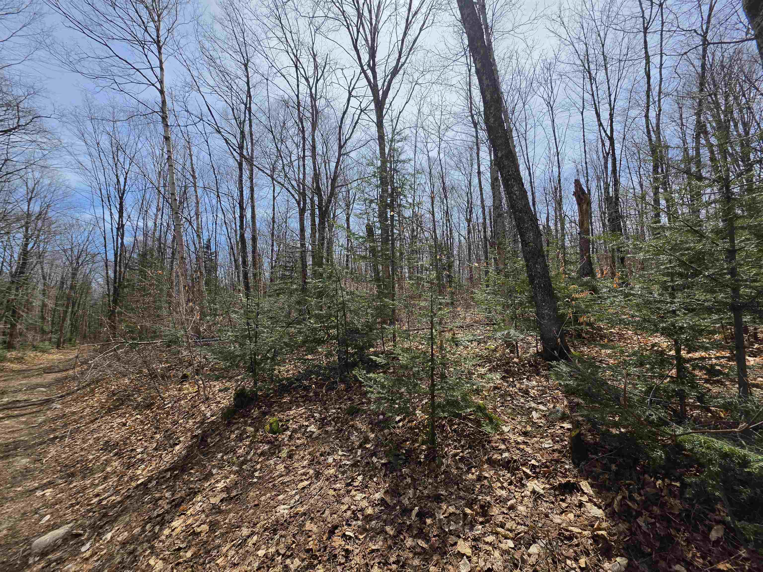 1700 Arcadia Lane Property Photo 9