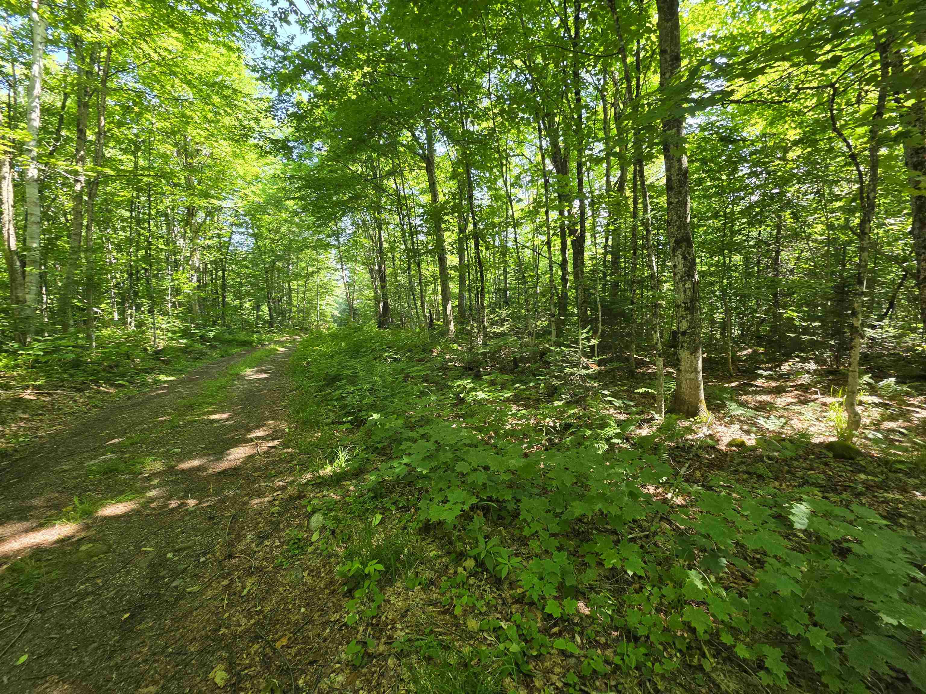 1700 Arcadia Lane Property Photo 11