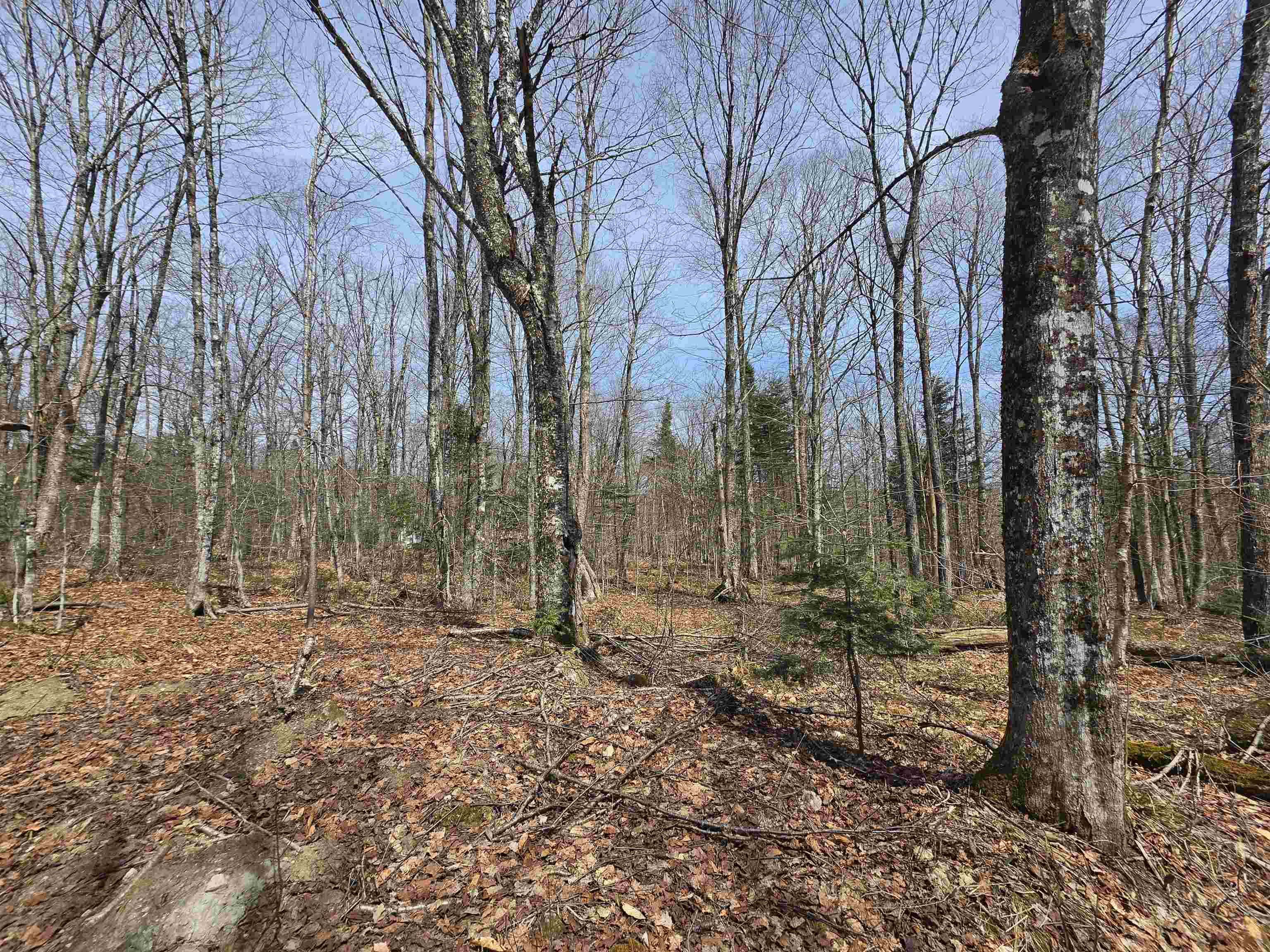 1700 Arcadia Lane Property Photo 19