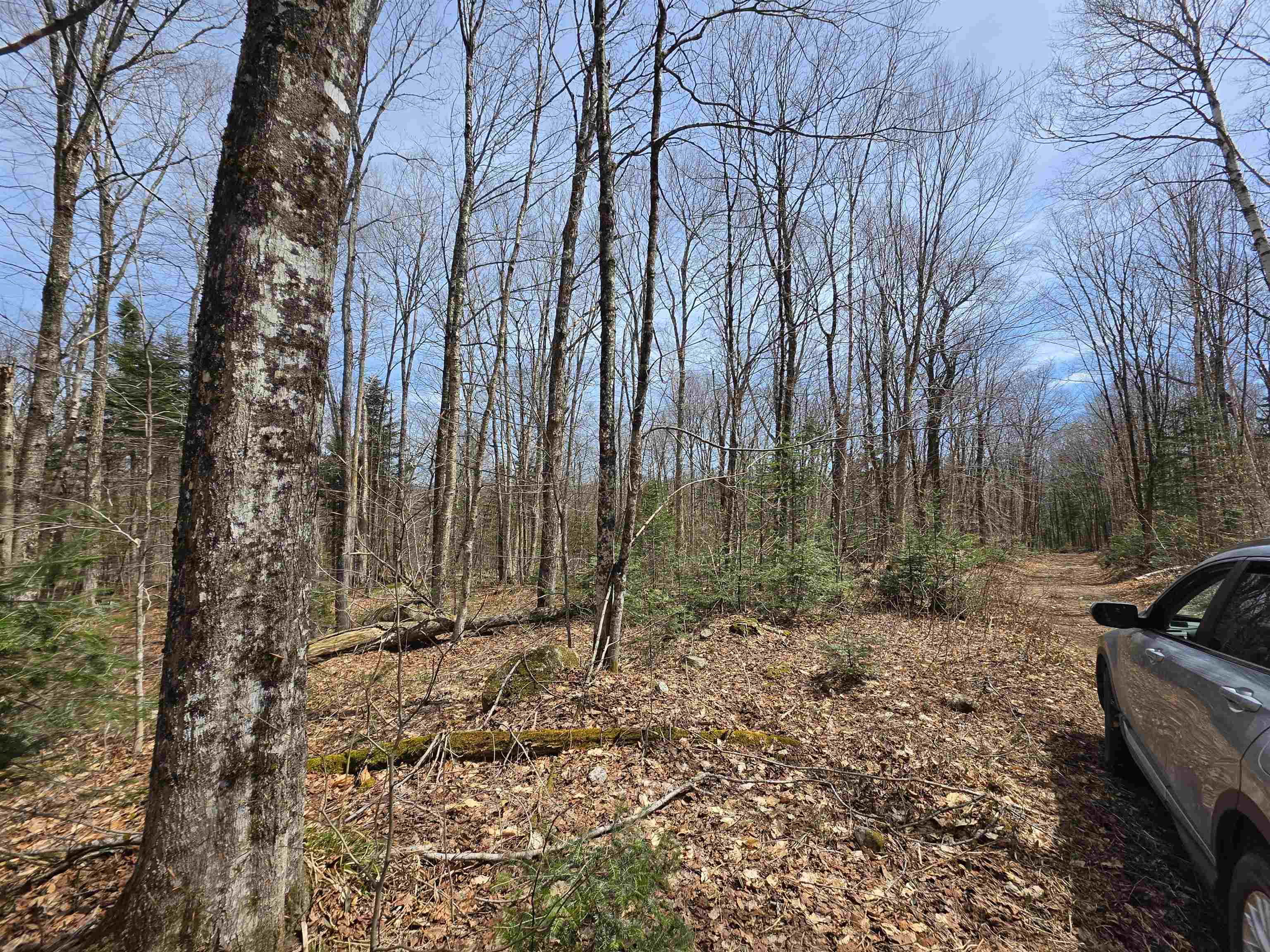 1700 Arcadia Lane Property Photo 20