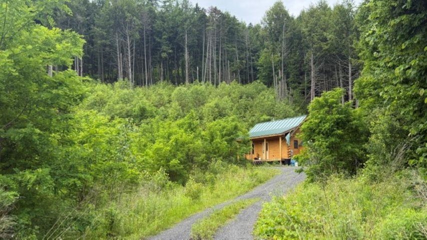 6160 Vt Route 66 Road Property Photo 7