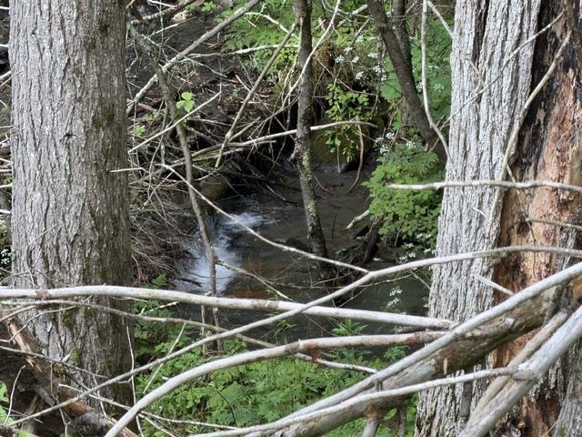 6160 Vt Route 66 Road Property Photo 20