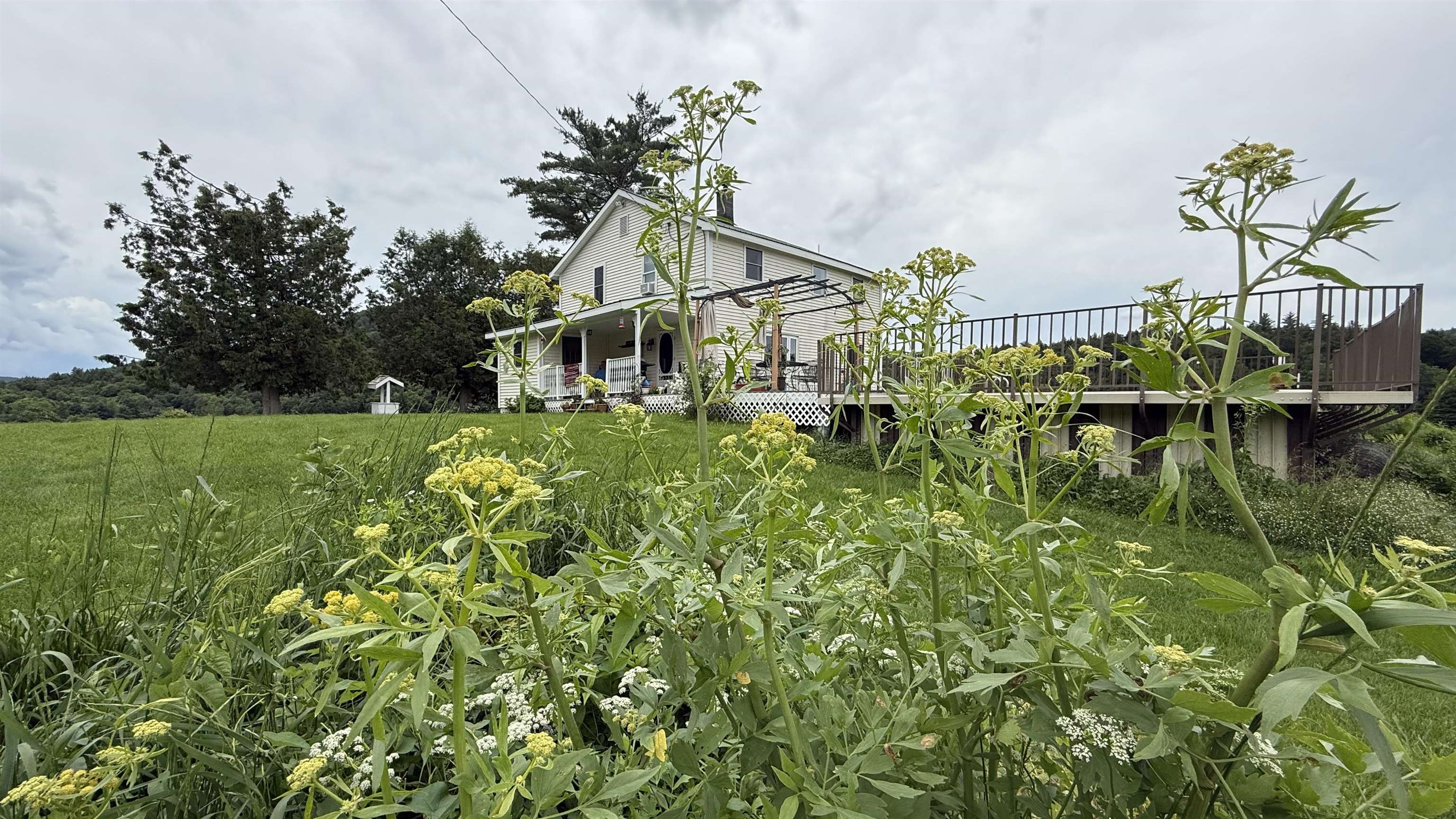 1823 Lost Nation Road Property Photo 37