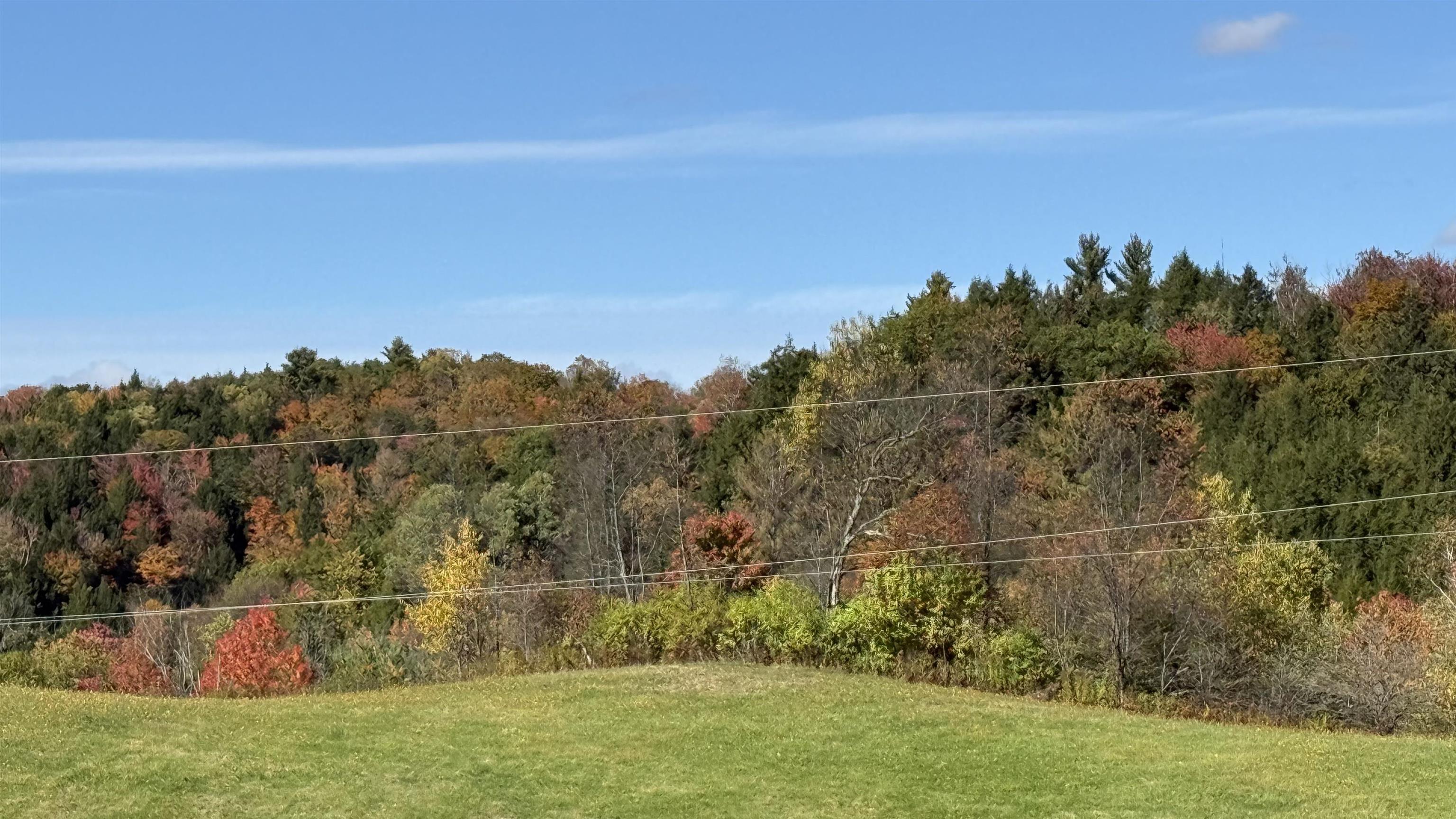 1823 Lost Nation Road Property Photo 40